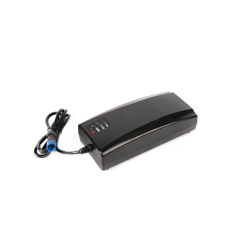 Fastcharger.jpg