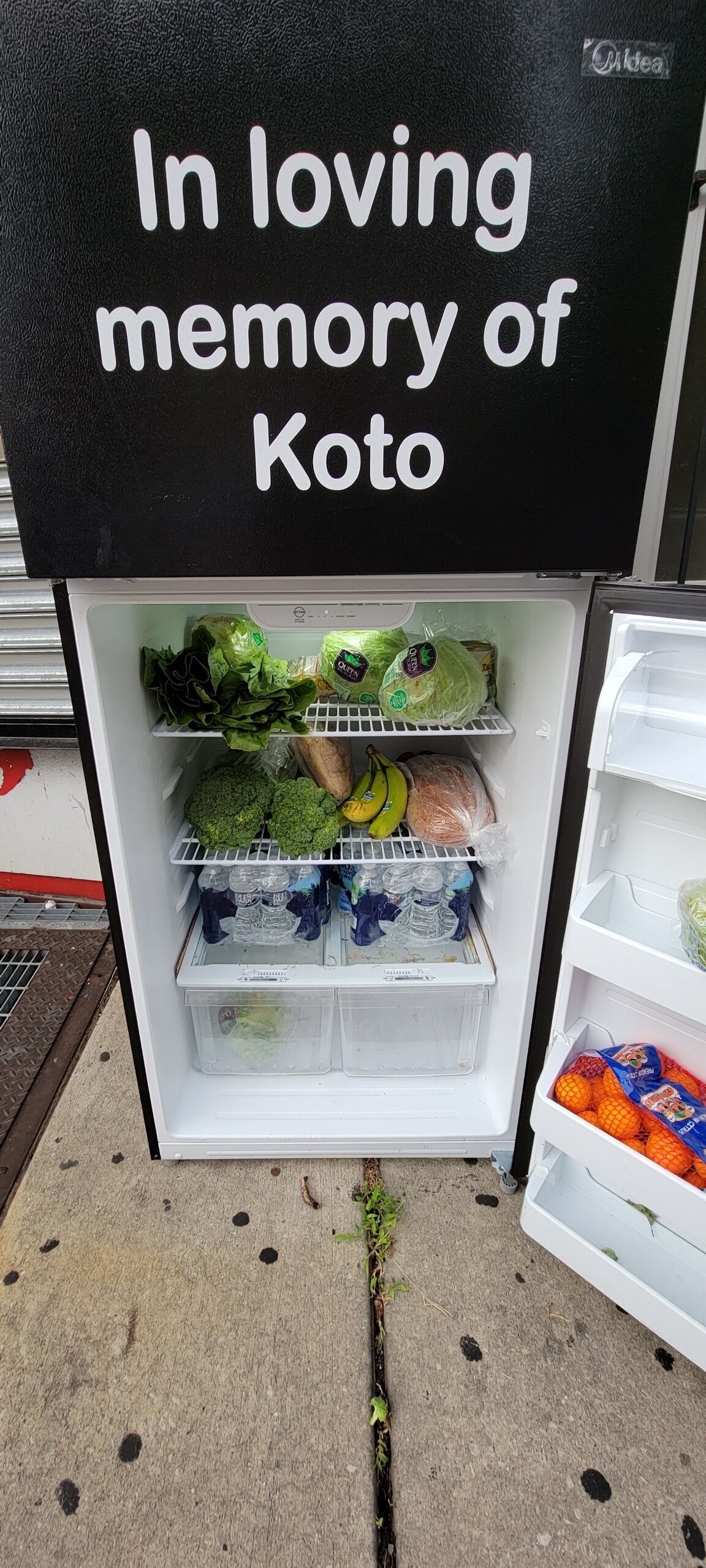 refridge3.jpeg