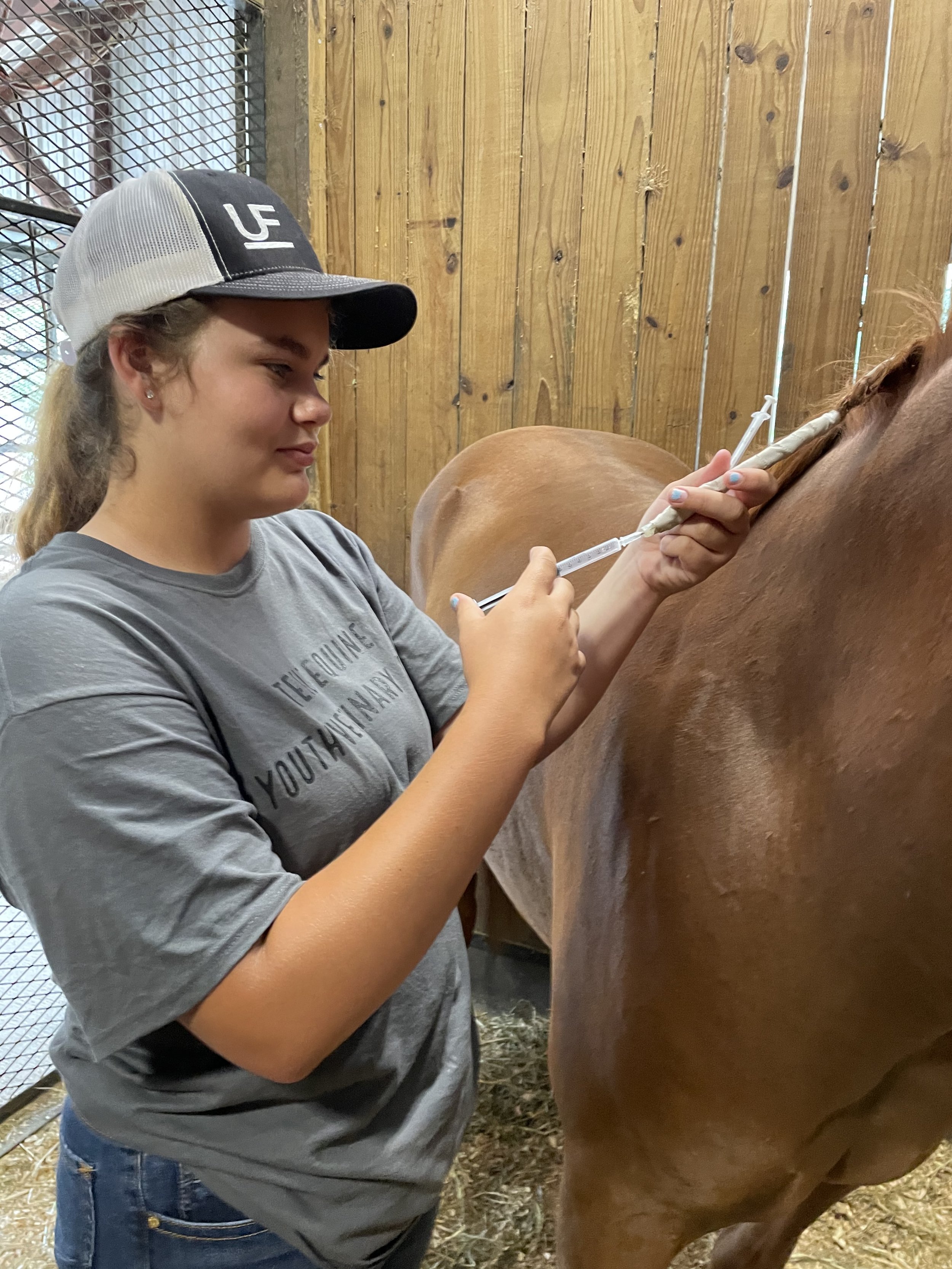Center — Steele Equine Veterinary Services & Performance Horse Center I