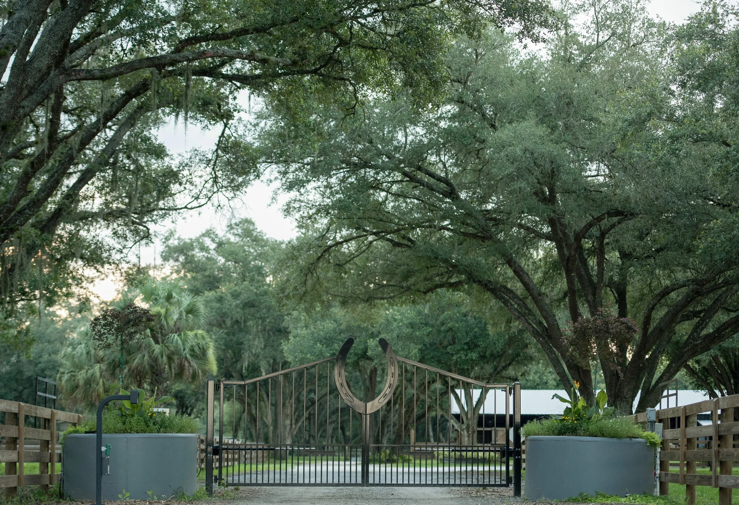 Steele Equine Contact — Steele Equine Veterinary Services