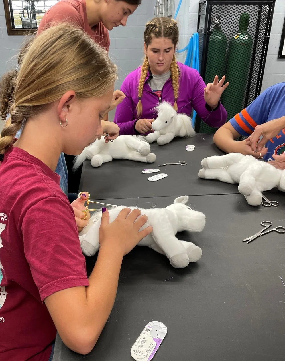 Steele Equine Youth Veterinary Camps — Steele Equine Veterinary