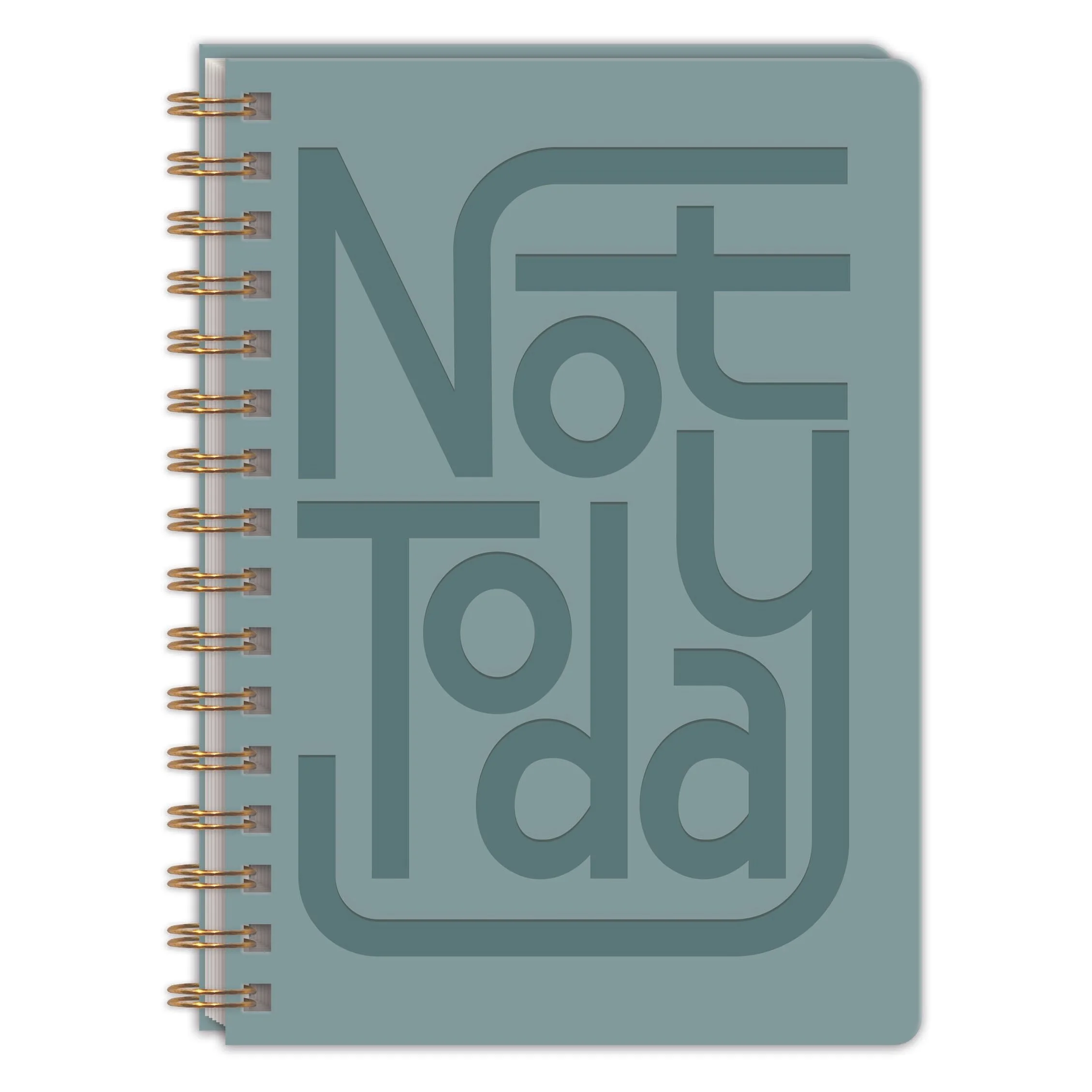 80927_MarkMyWordsToday_SoftcoverVLSpiralJournal6x8.5_CN copy.jpg