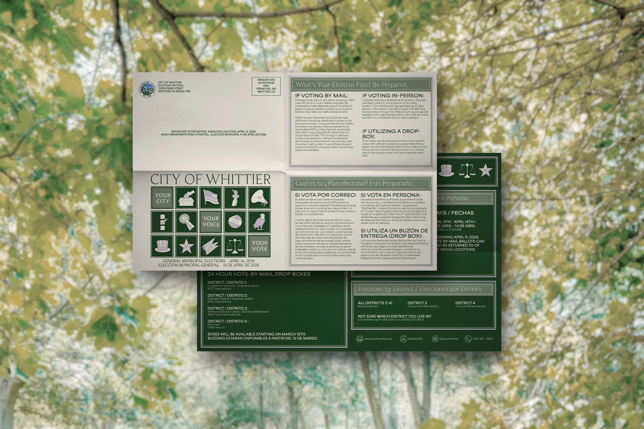 Trees copy.jpg