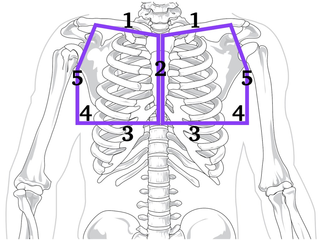 Postnatal Border Breast Massage During Pregnancy & Postpartum — WITHIN BALANCE