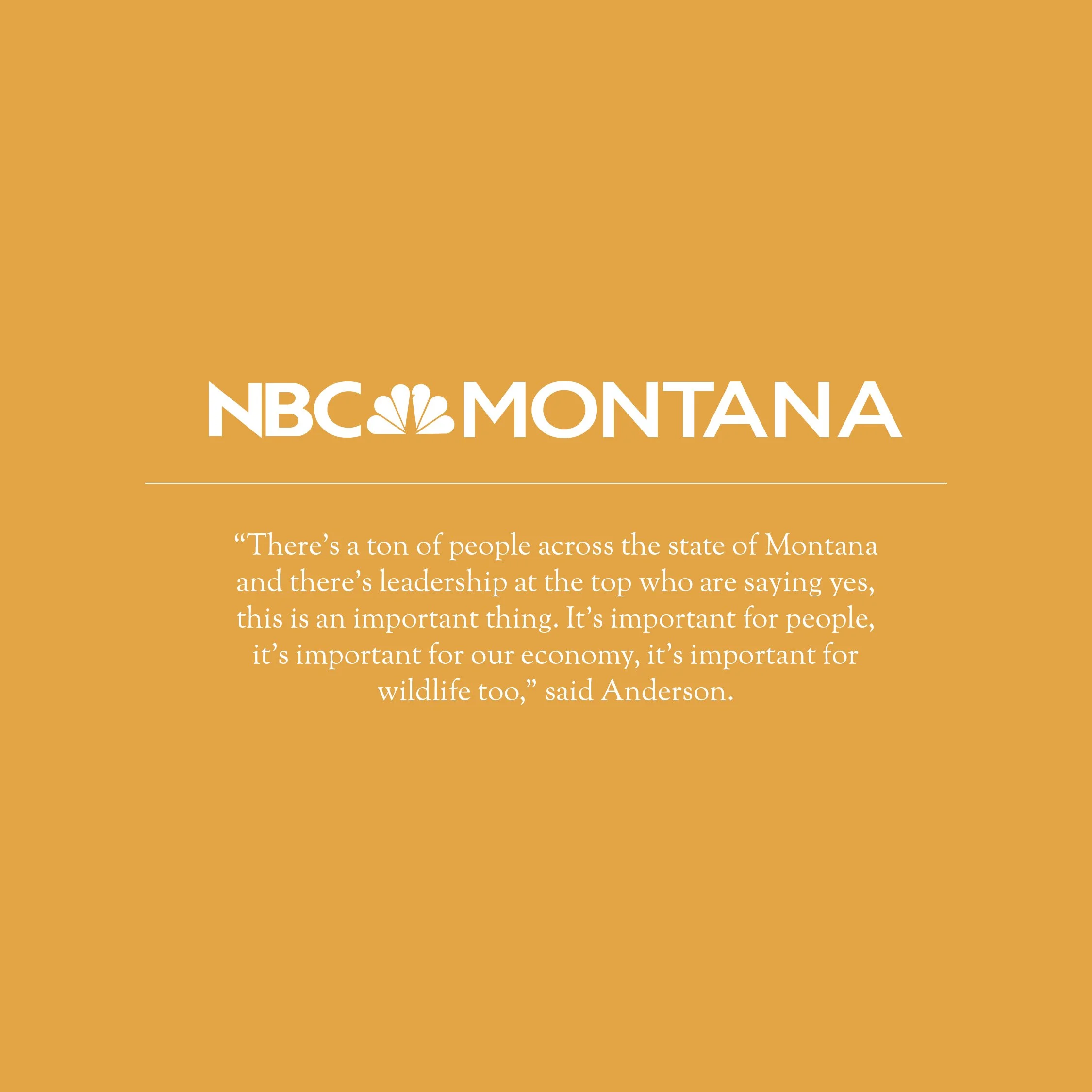 Coalitions find solutions to reduce wildlife-vehicle conflicts on Highway 89