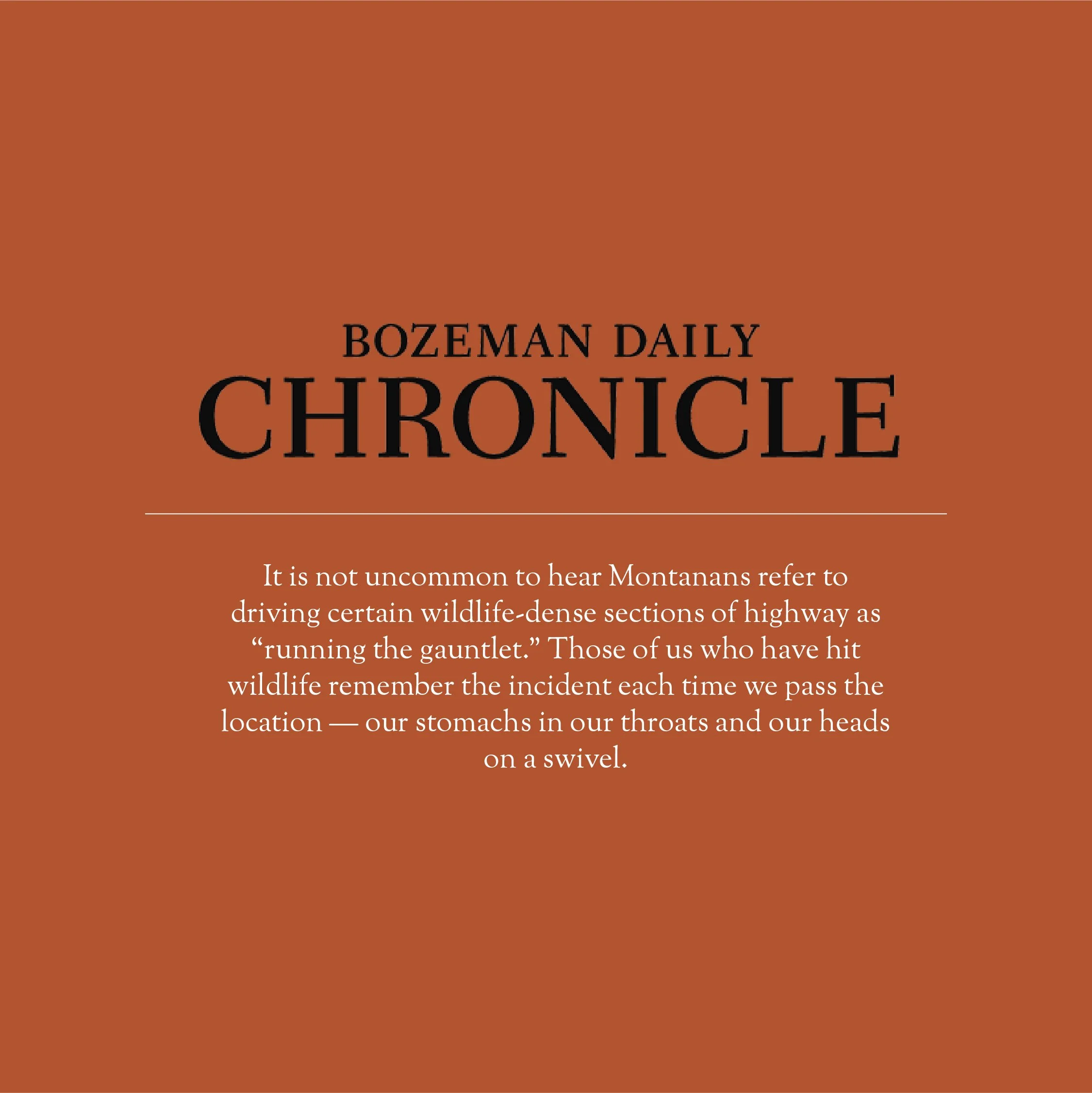 Guest column: Improving safety for drivers, wildlife on the road ahead