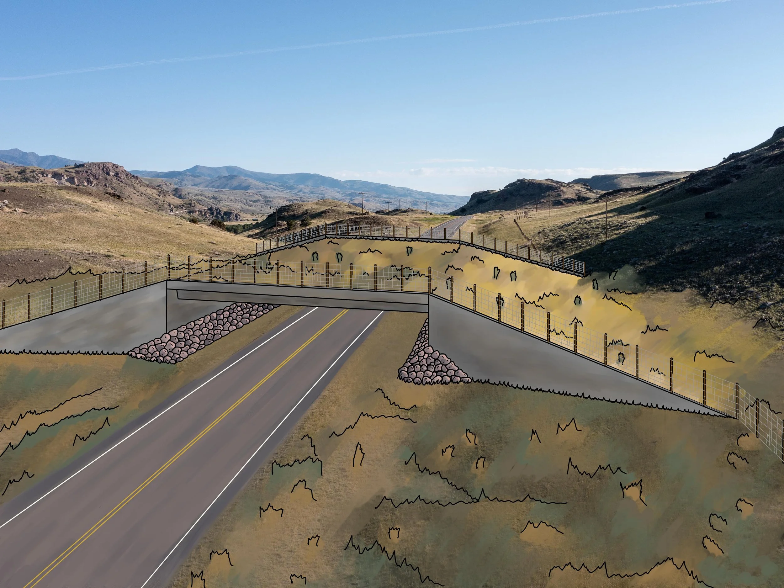 Yellowstone Safe Passages builds bridges for animals