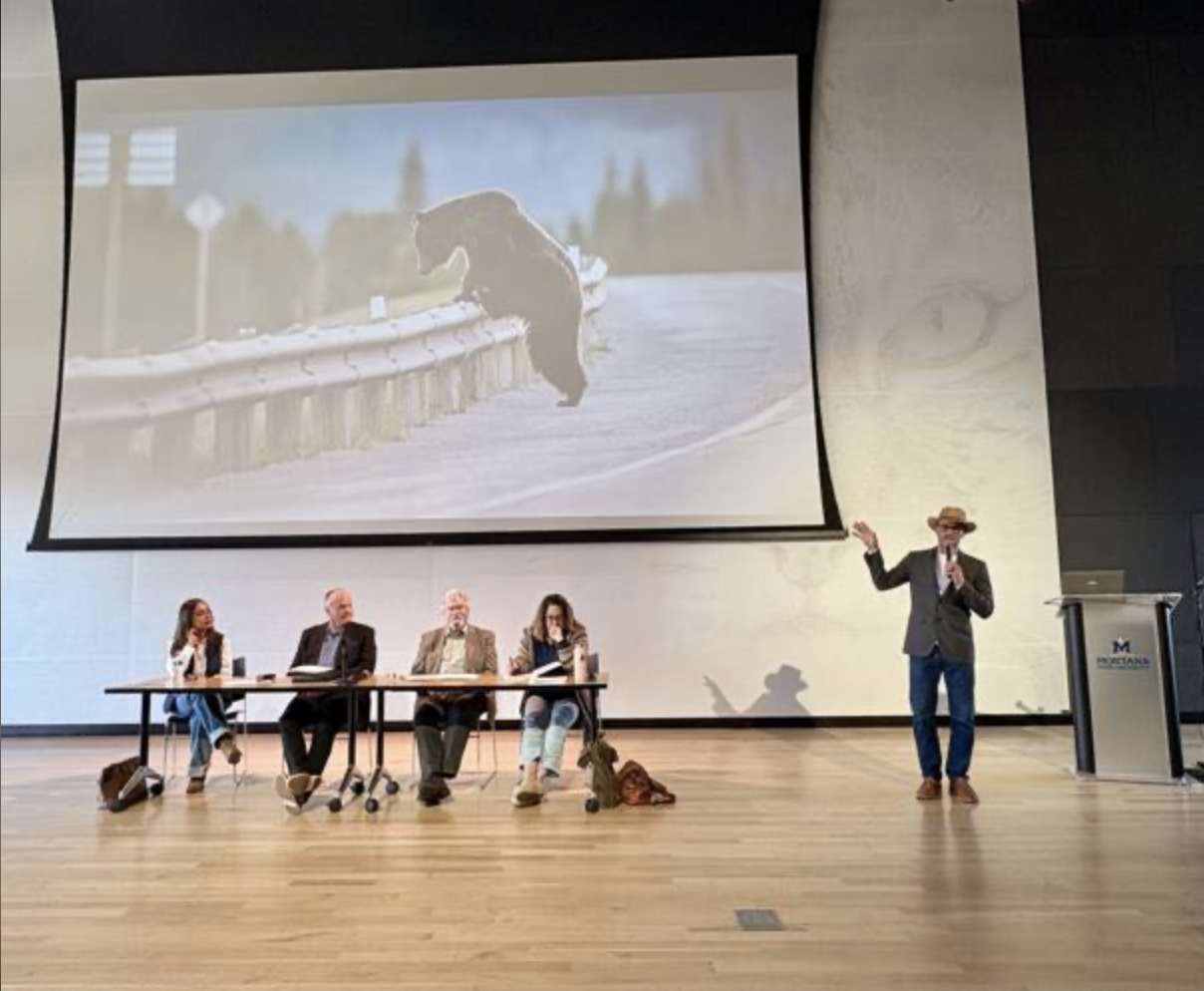 'Screaming collaboration' drives Montana wildlife crossing efforts
