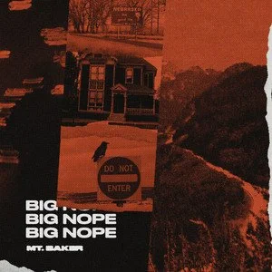 Big Nope - "Mt. Baker" (2021) - songwriter, primary artist
