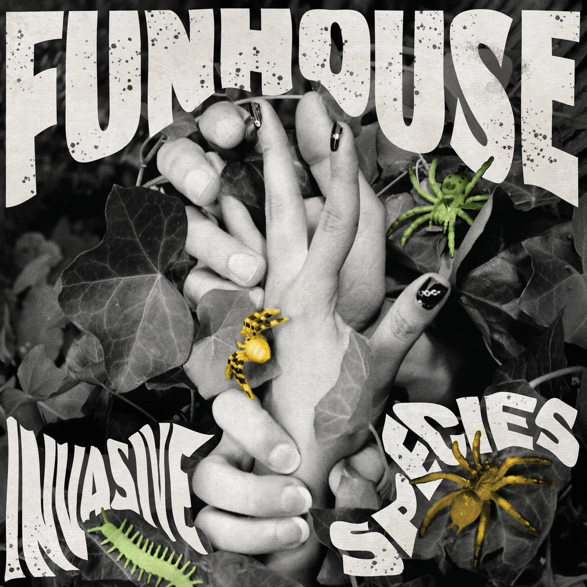 Funhouse - "Invasive Species" (2024) - producer/drummer