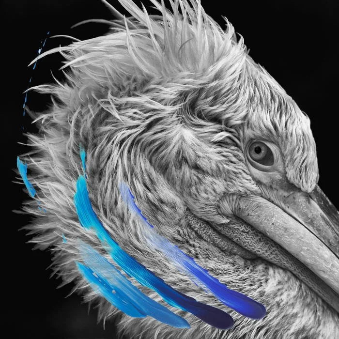 Lies - "Lies" LP (2023) - 2nd engineer