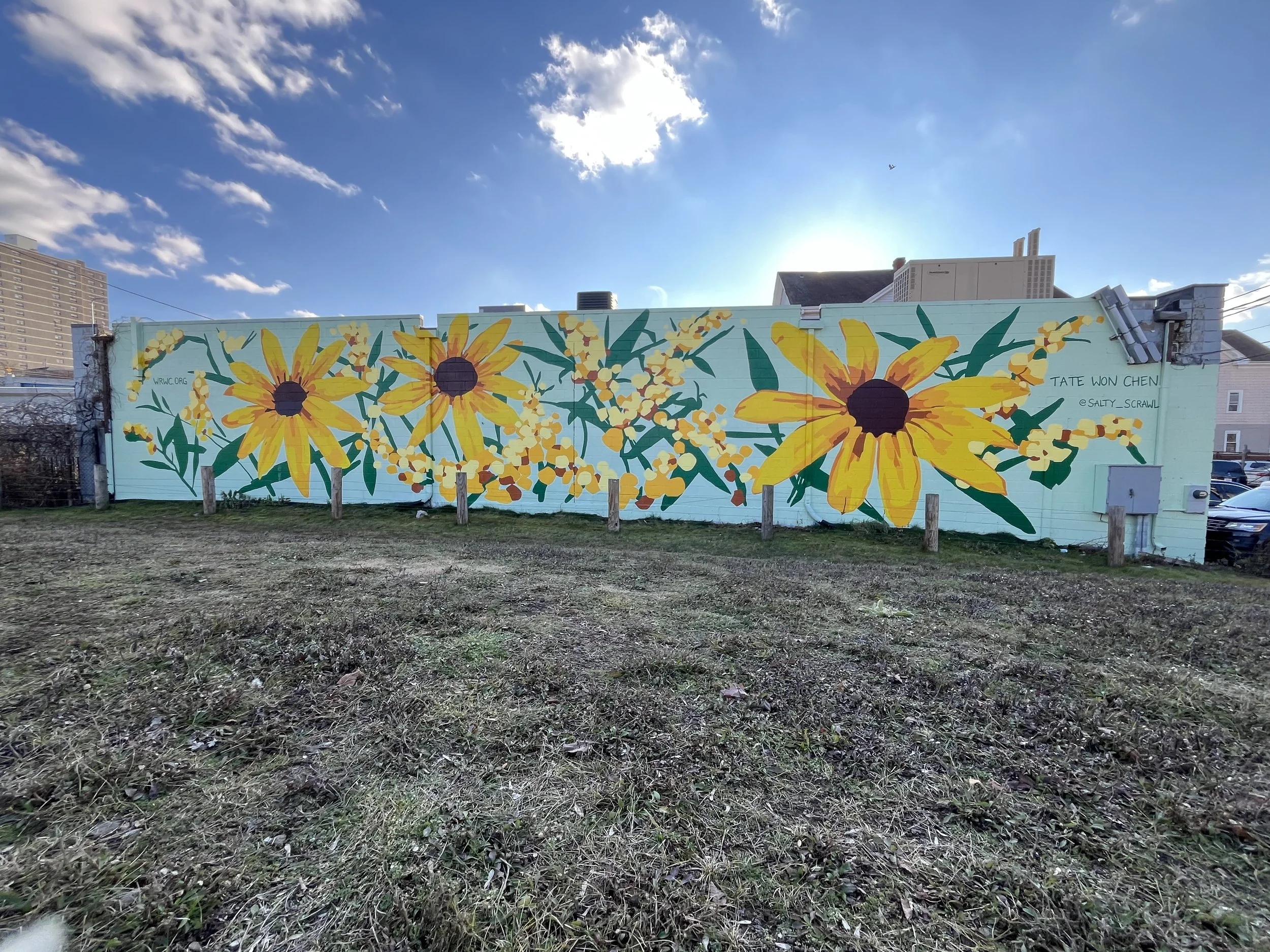 WRWC: Black-eyed Susans & Goldenrod