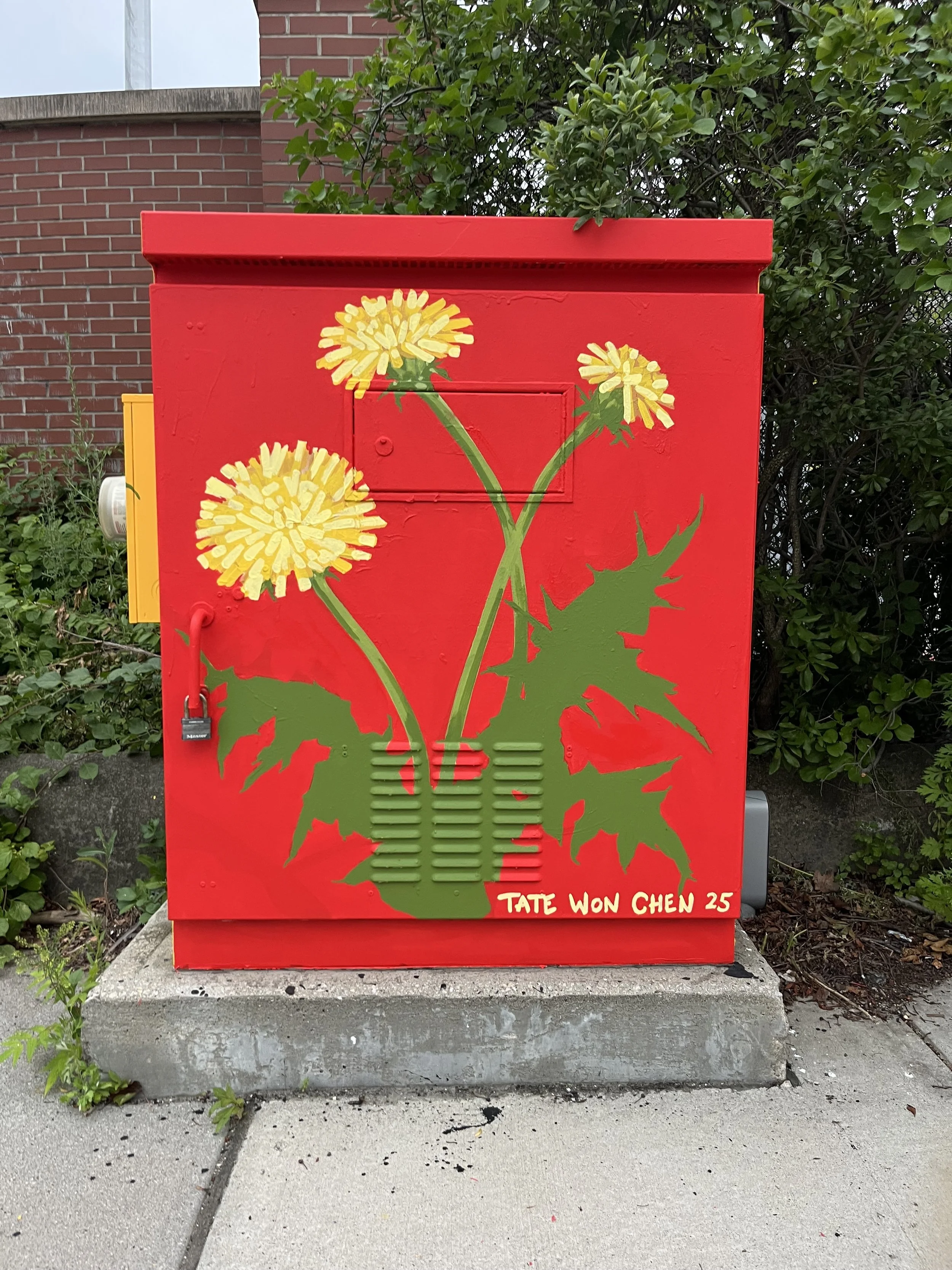 Lucky Dandelion: The Avenue Concept