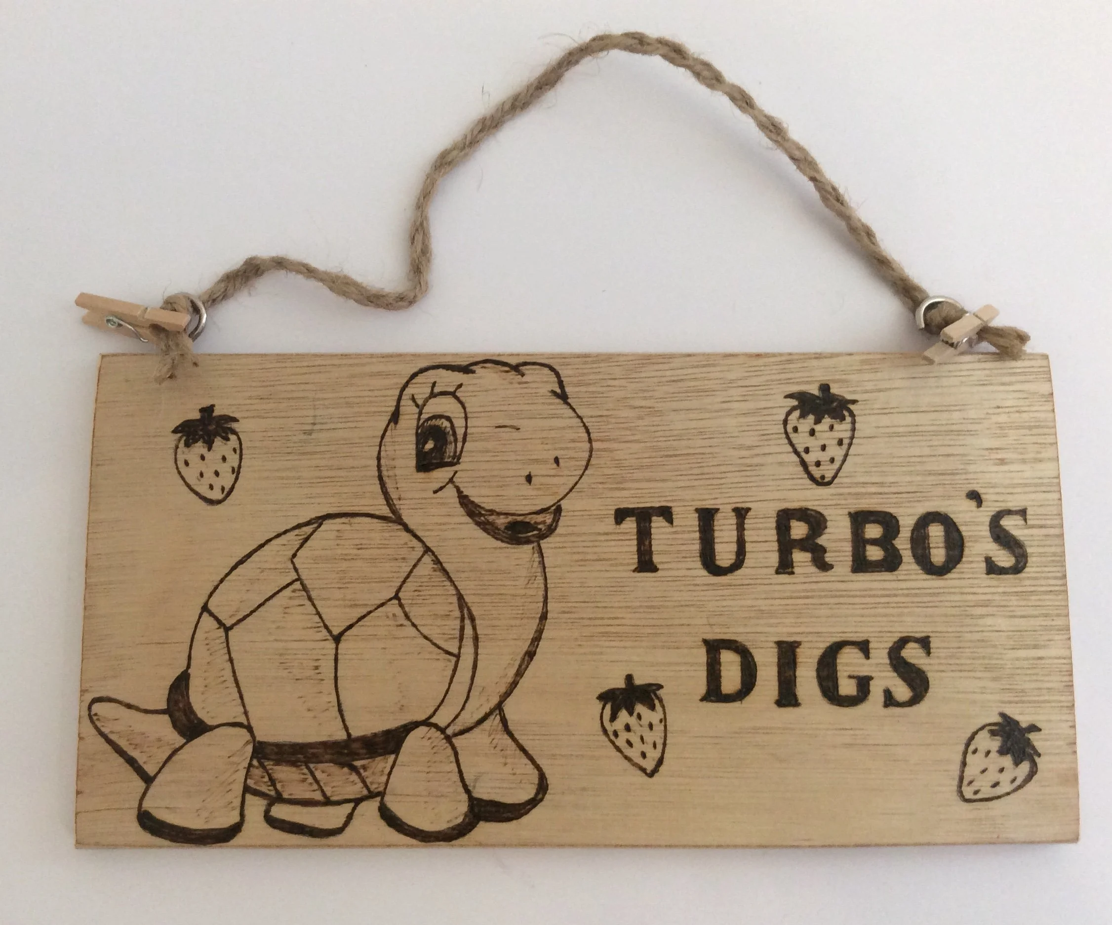 Wooden Pet Tortoise Name Plaque Hanging House Sign