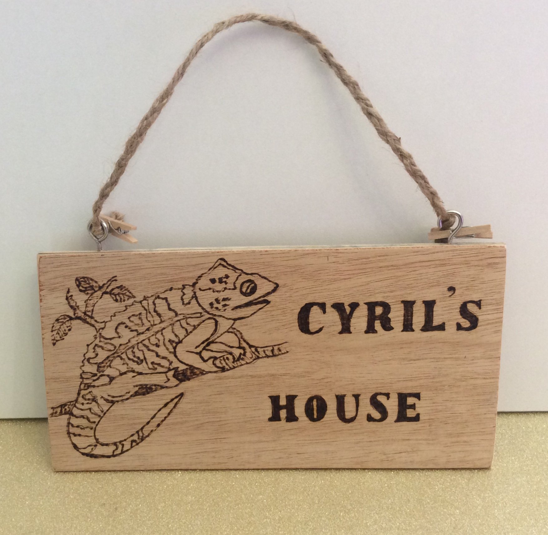 Wooden Pet Chameleon Name Plaque Pyrography Hanging House Sign