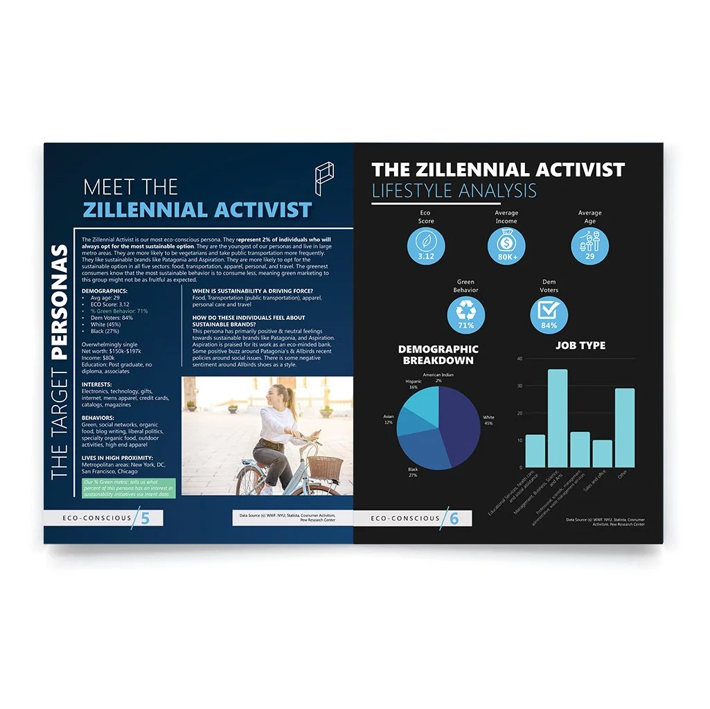 Environmental Consumer 2.jpeg