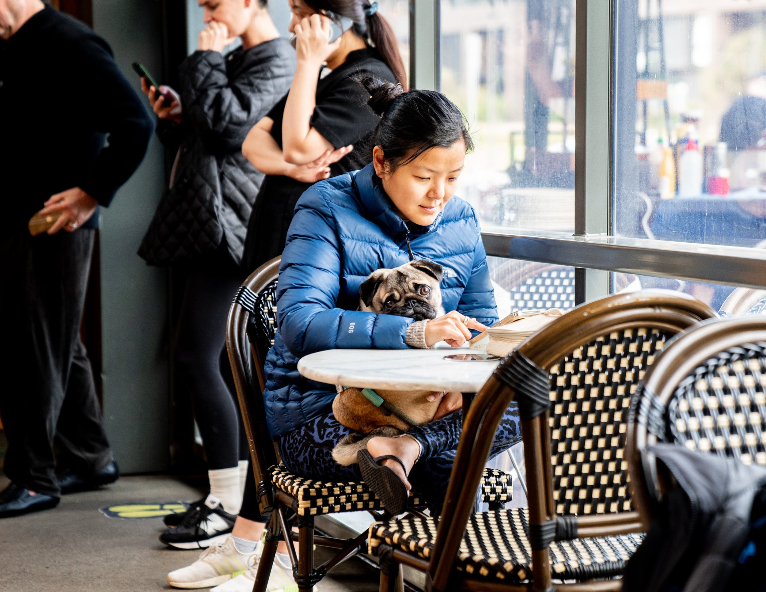 Pet friendly venue in Glebe / Forest Lodge in Tramsheds (Copy)