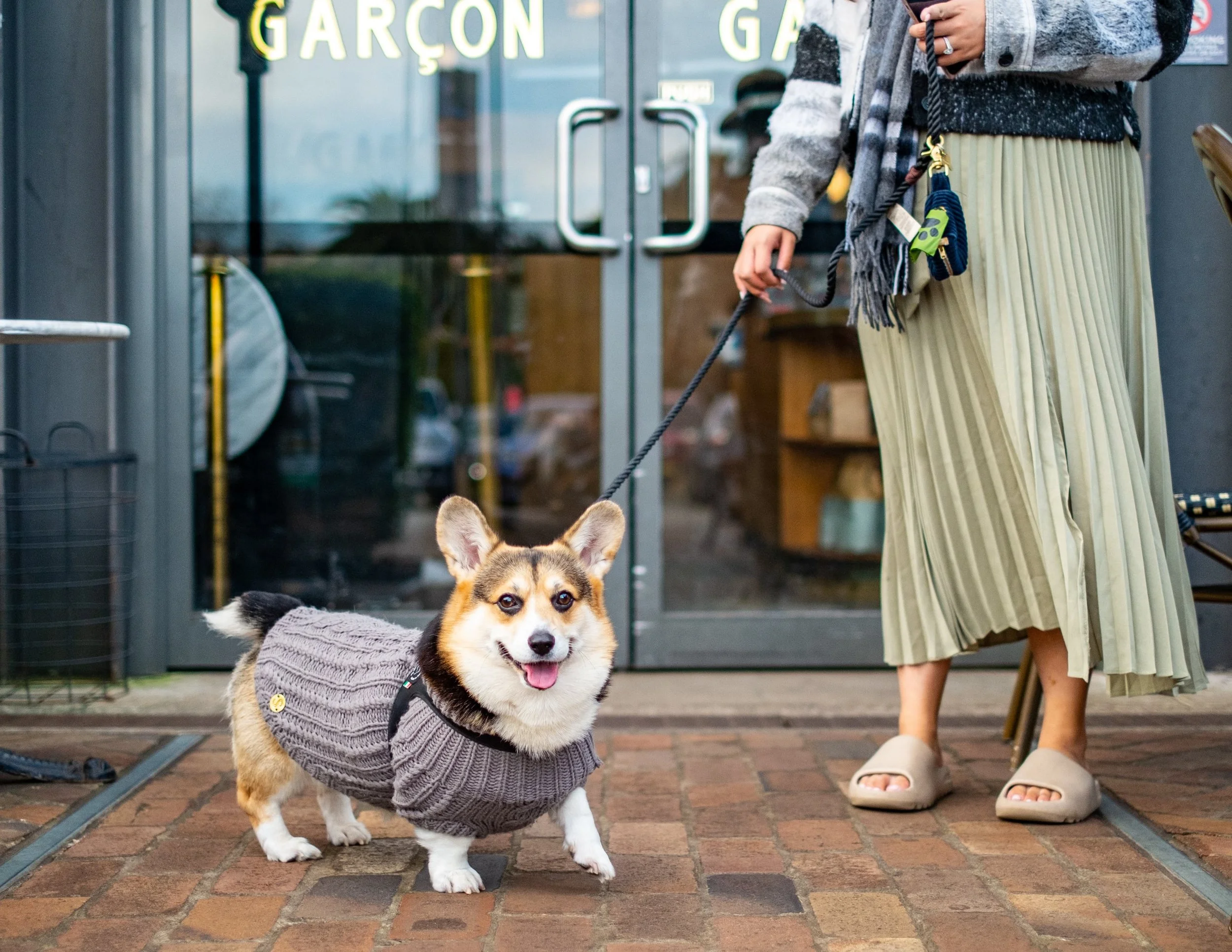 Dog Friendly Cafe Lane Cove dog-friendly-cafe-lane-cove