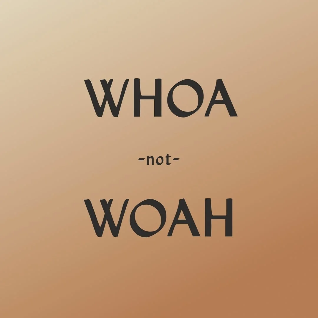 People keep spelling it wrong, so I'm here to help! #Whoa to the second installment of the #nous___work copy editing series 🦩