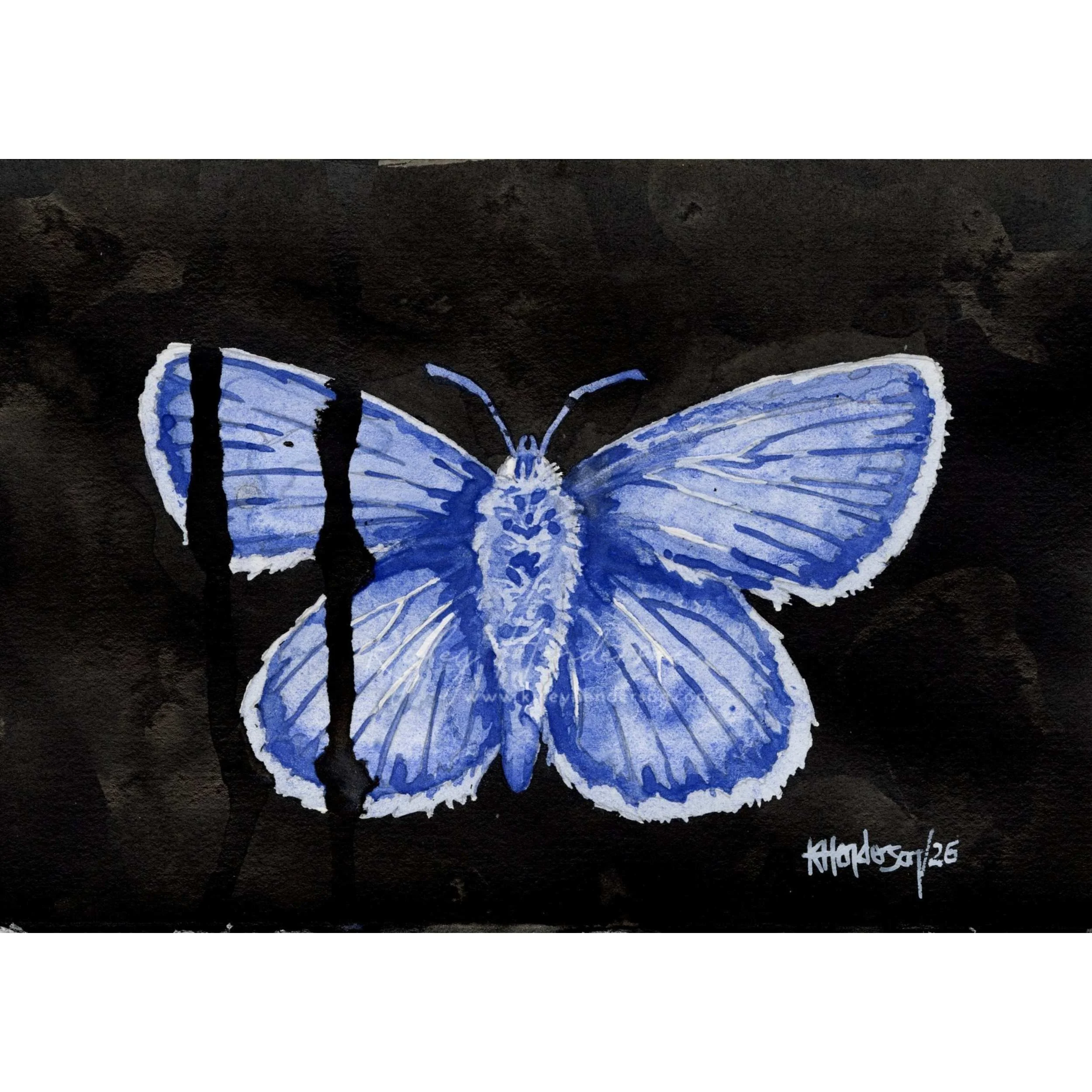 Mission Blue spwm 500.jpg