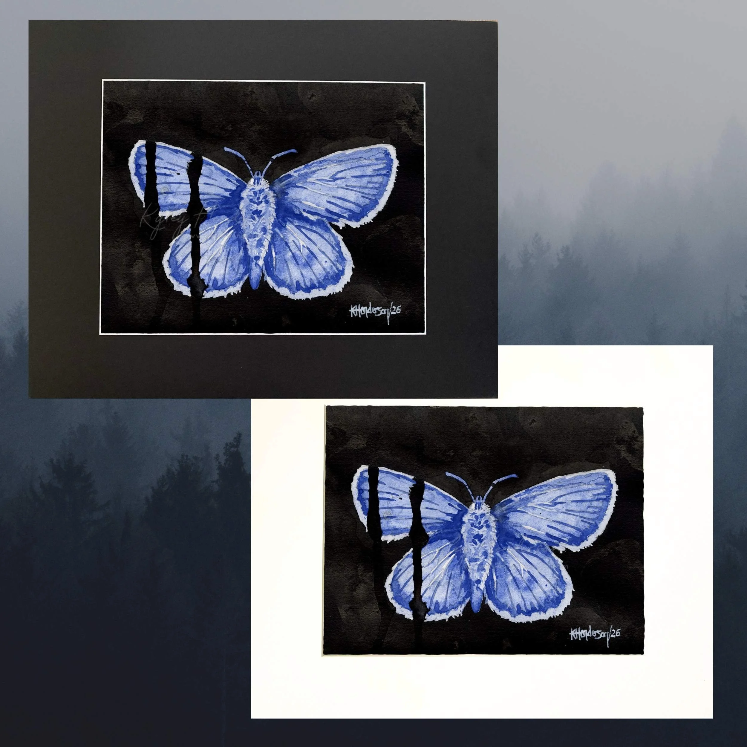 Mission Blue Mats 500.jpg