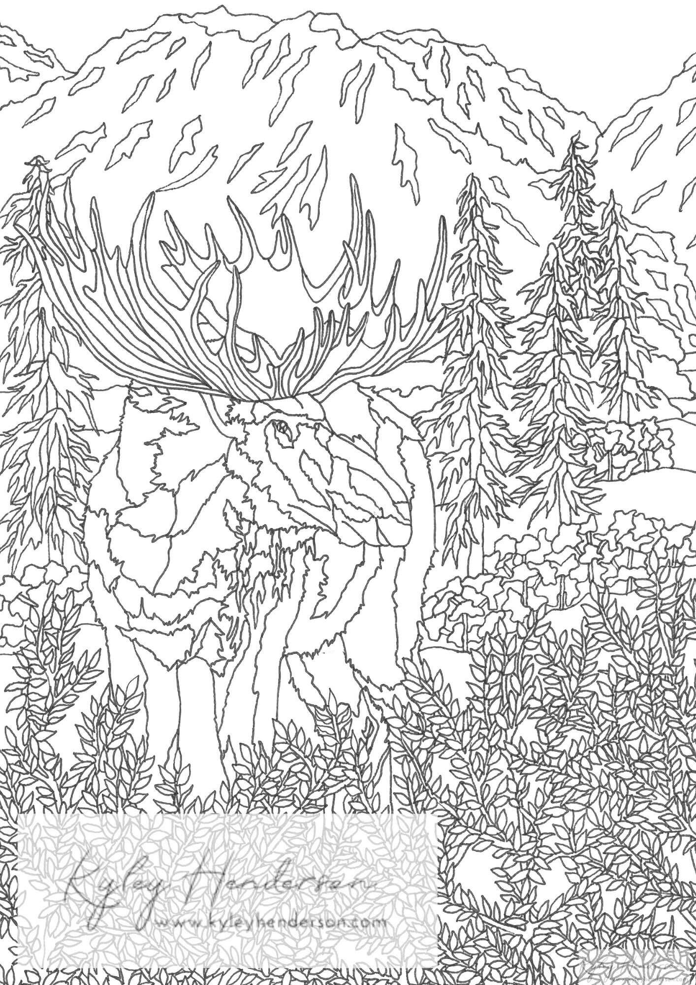 Adult Coloring Pages of Forest Animals. Animal Coloring Pages