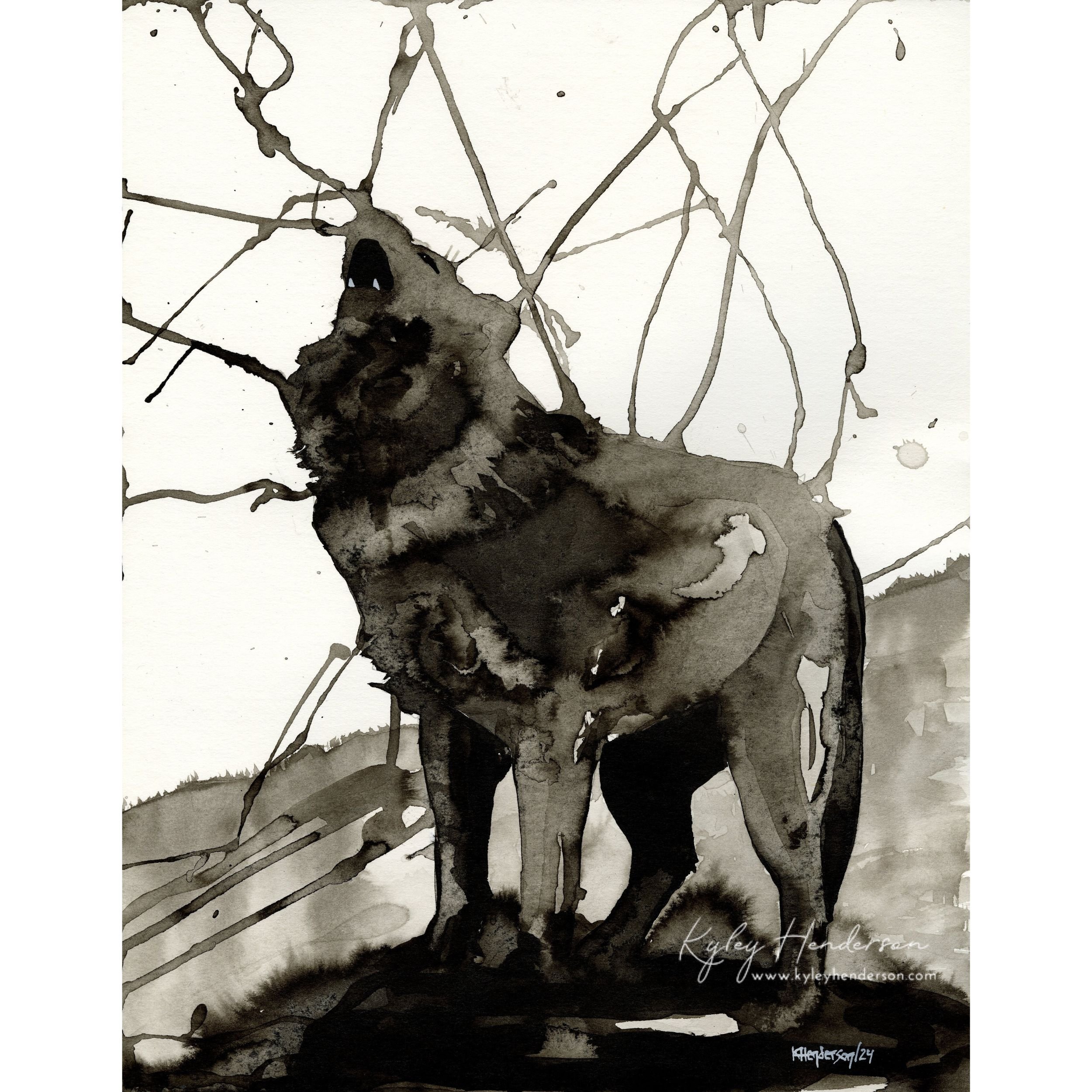Wolf Study 11x14