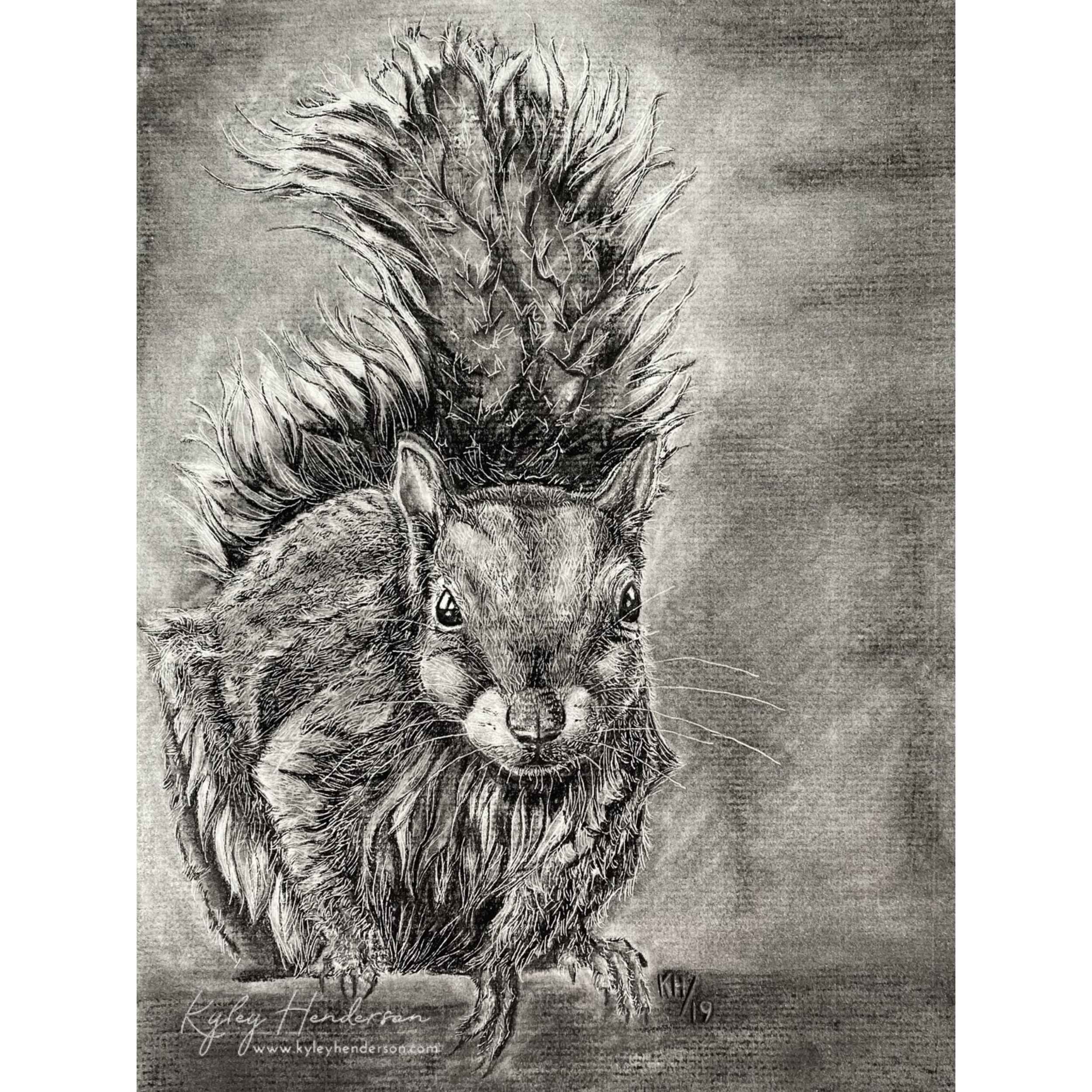Squirrel spwm 500kb.jpg
