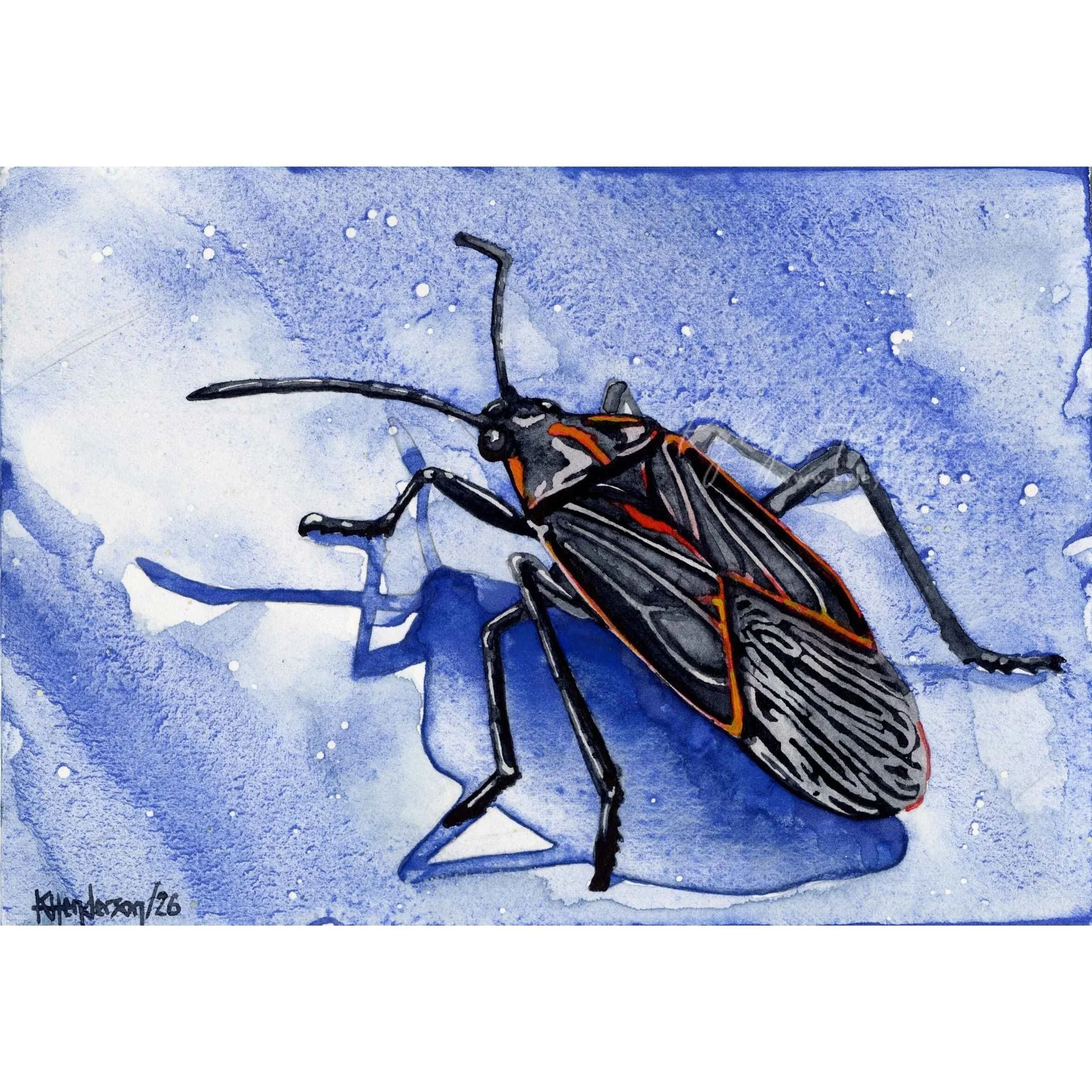 Caucus 2026
5x7" Watercolor