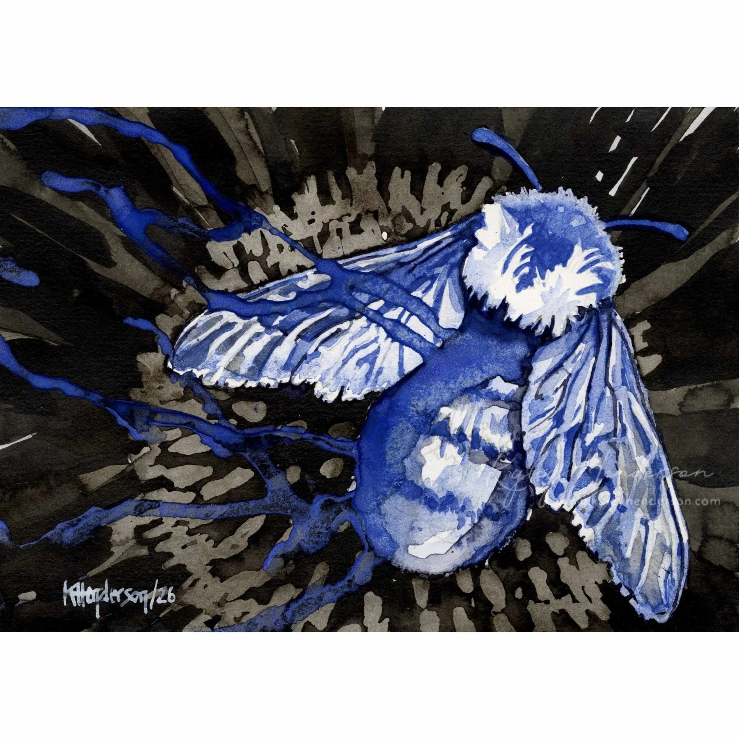 Wintering 2026
5x7" Watercolor & Indian Ink