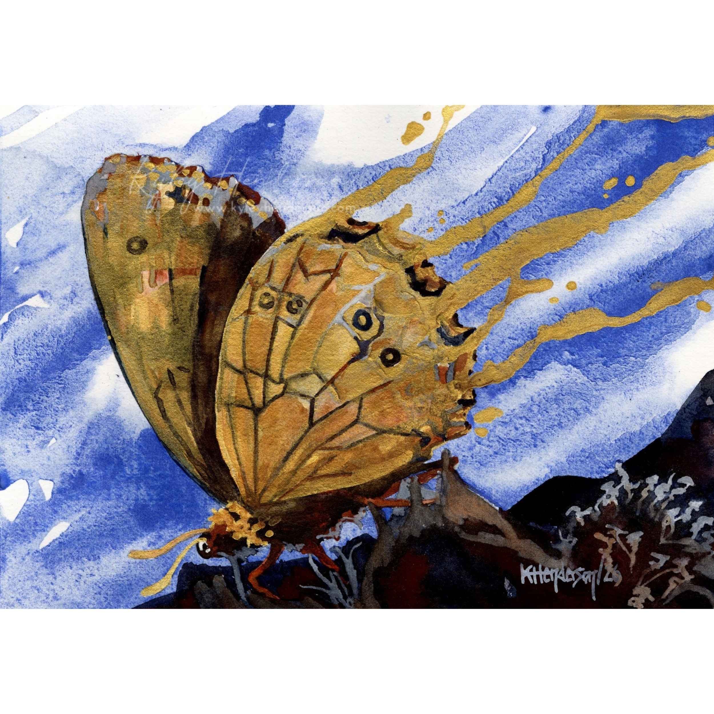 Marbled White spwm 500.jpg