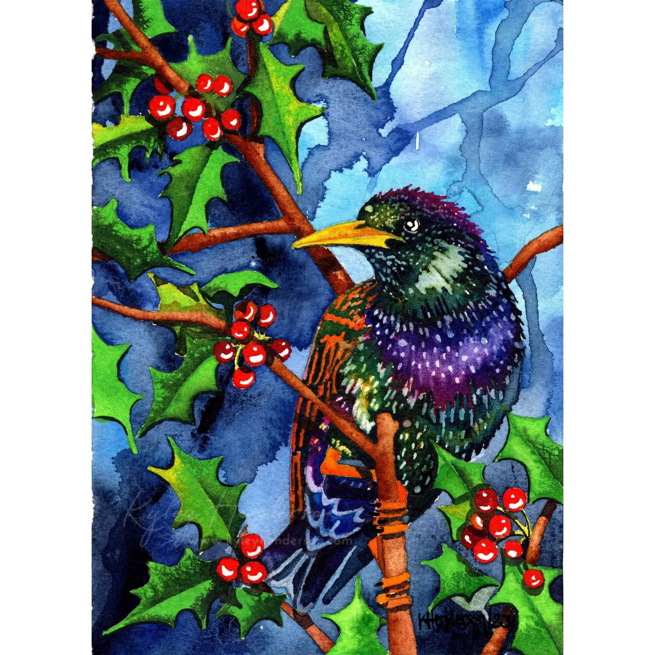 Starling Holiday 2022 5x7" Watercolor [SOLD Lethbridge, AB]