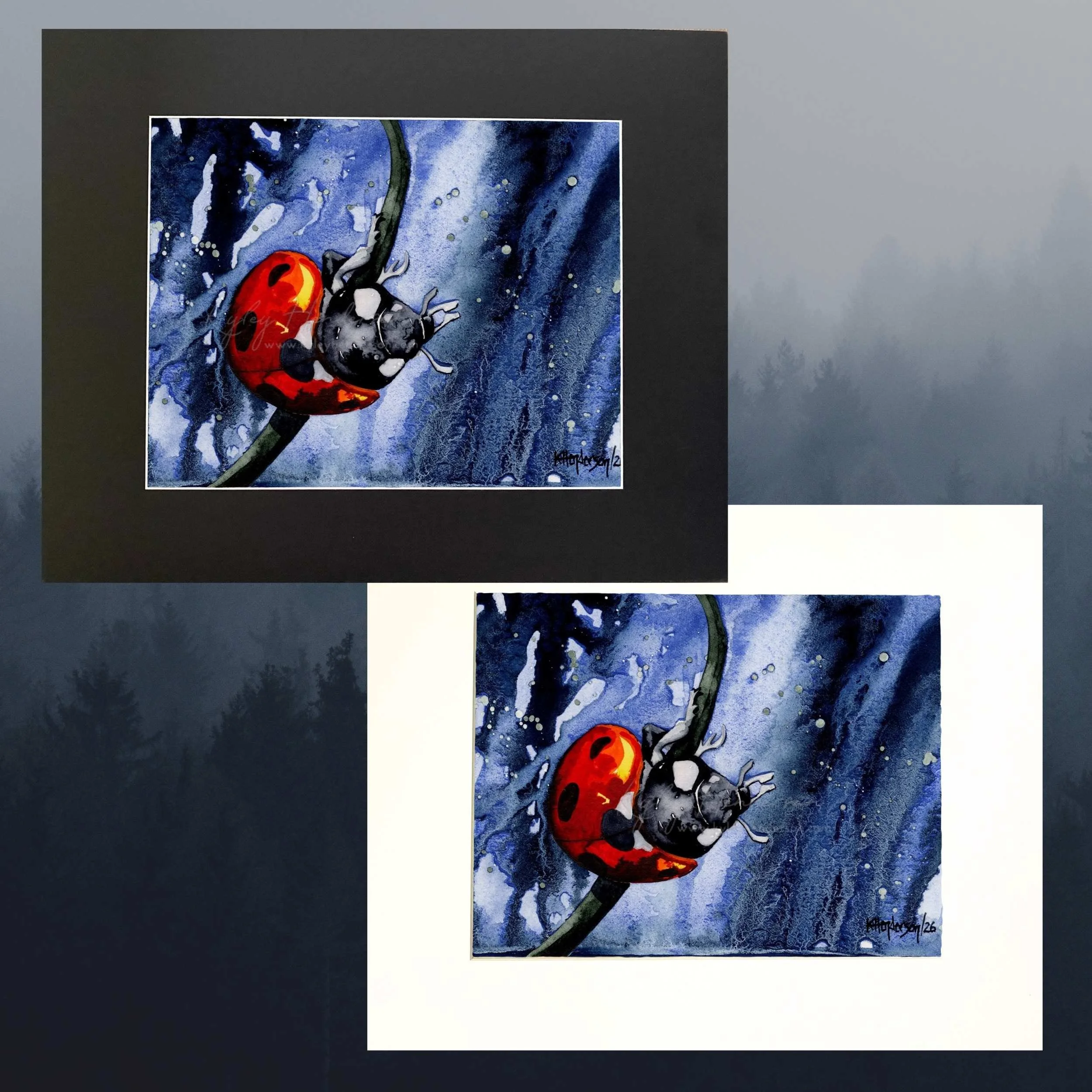 Destiny Mats 500kb.jpg