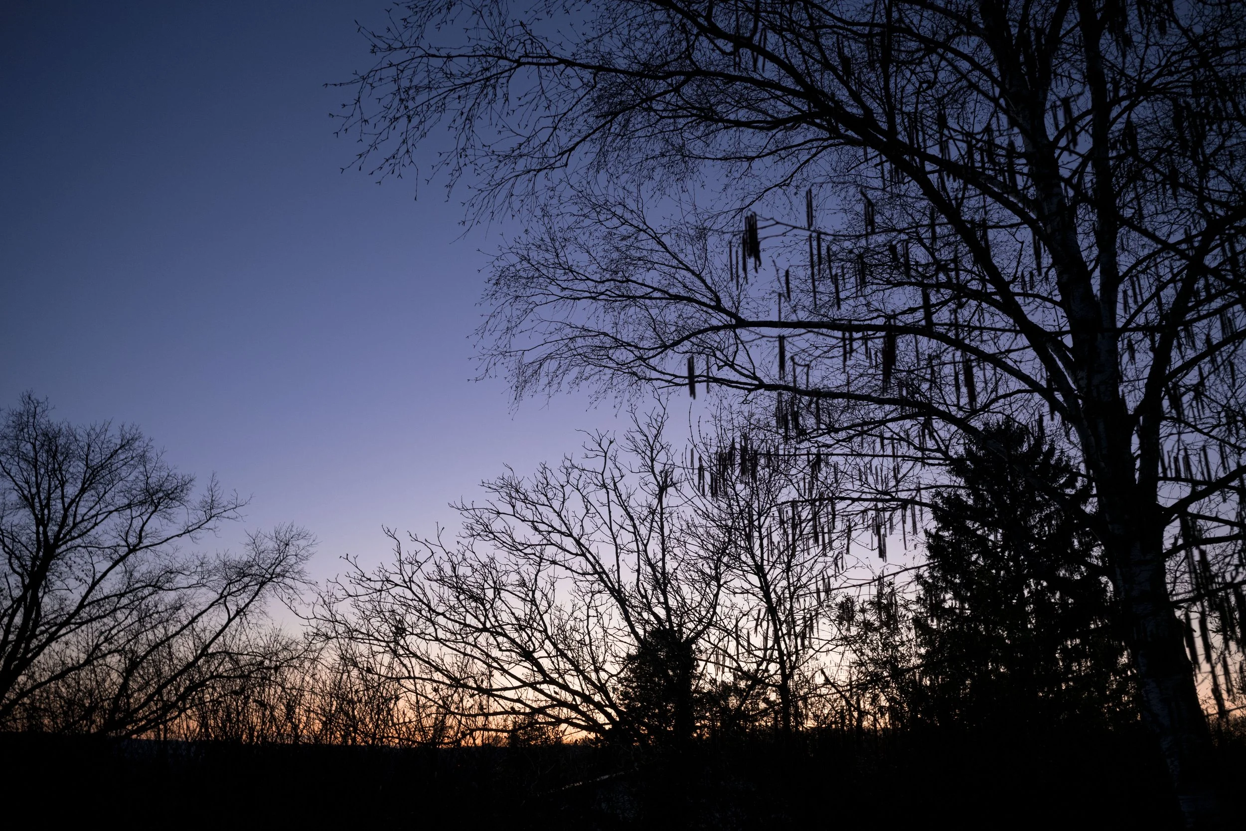 Letztes Licht II, 2026-03