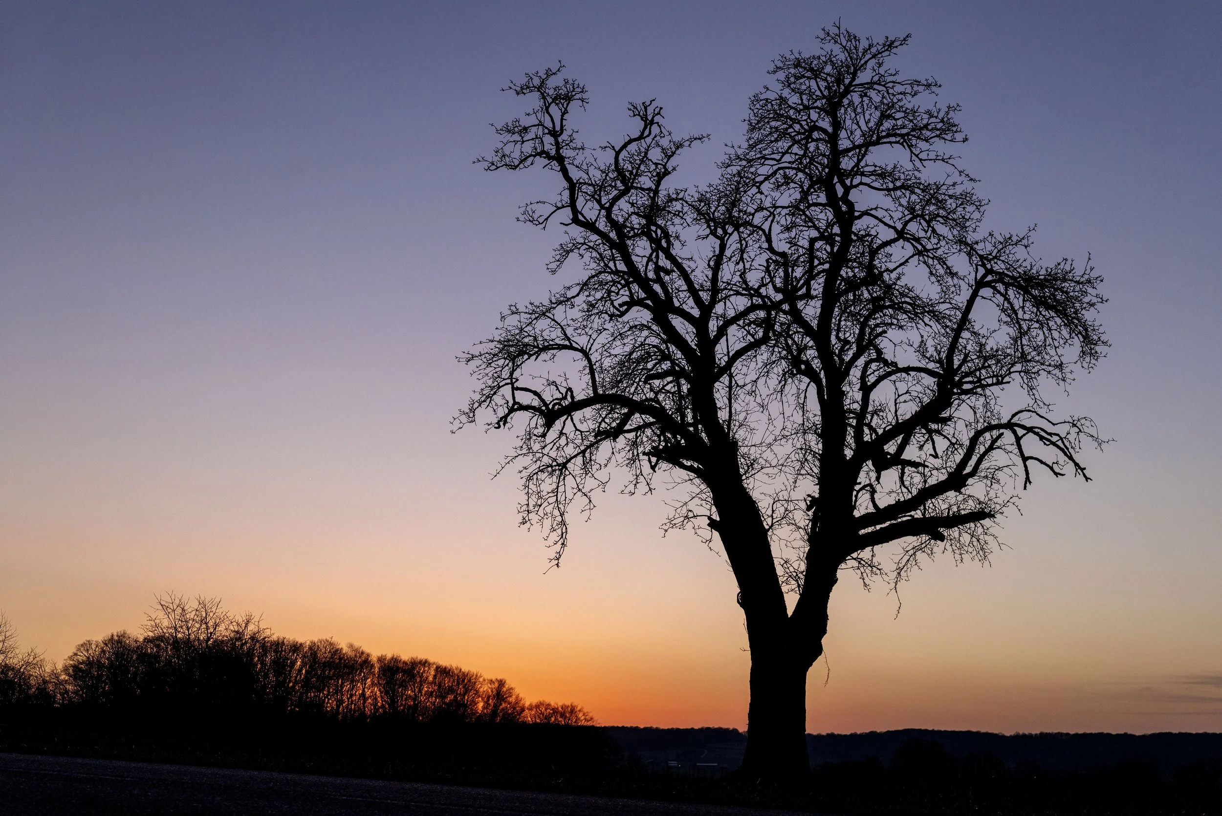 Letztes Licht I, 2026-03