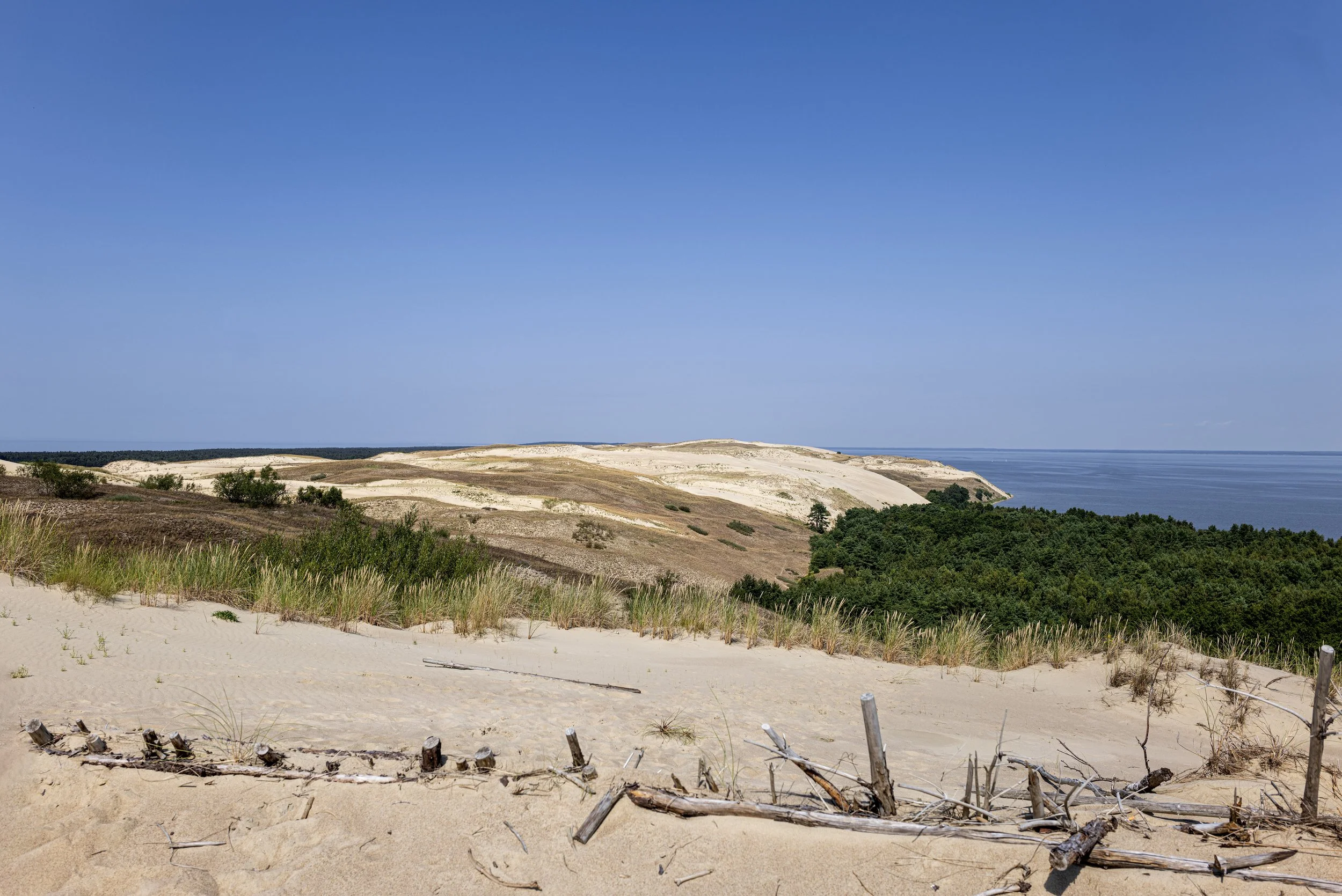 Kurische Nehrung/ Curonian Spit, Lithuania 2026-08