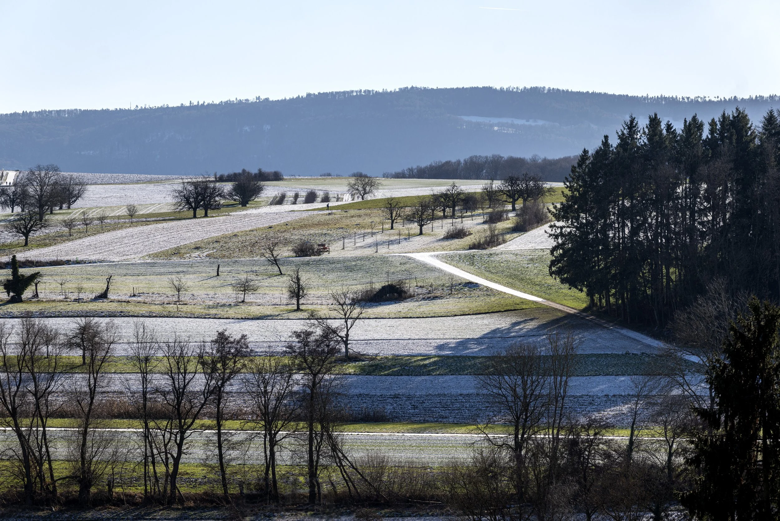 Juralandschaft in Schönenbuch, 2026-01