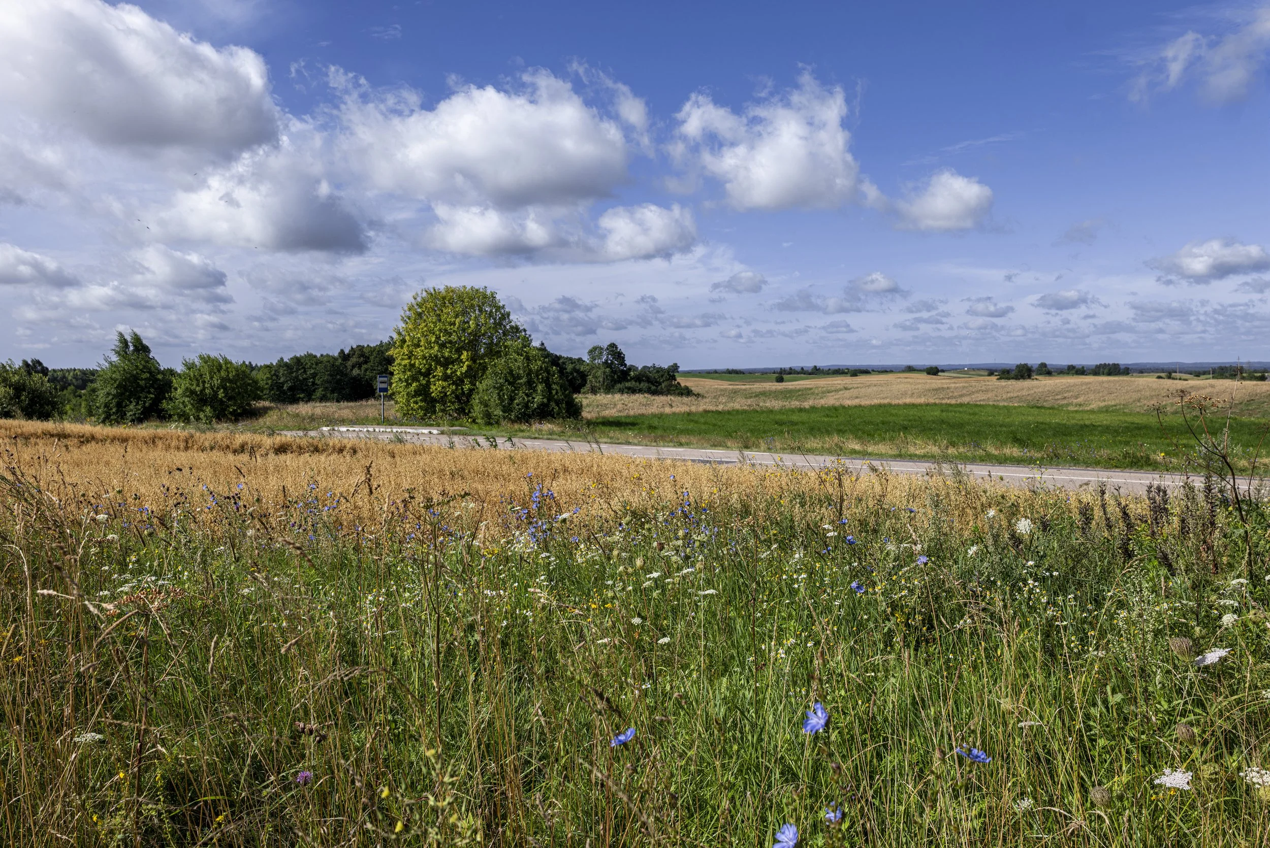 Weites, offenes Land/ wide open land. Lithuania 2026-08