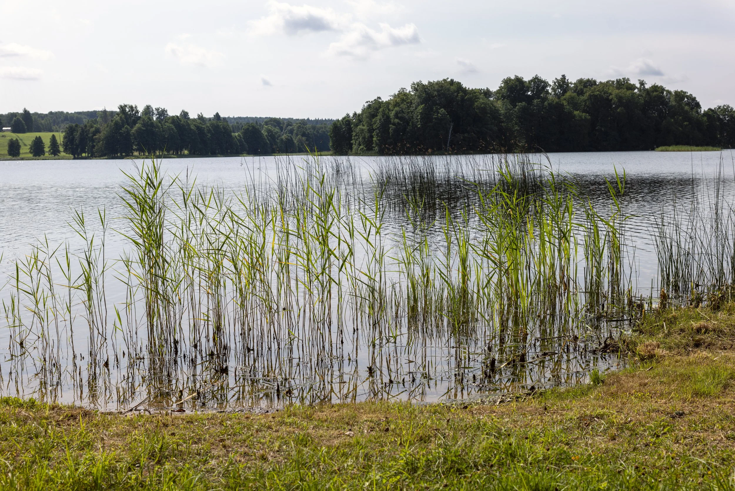 Otepää, Estonia 2026-08