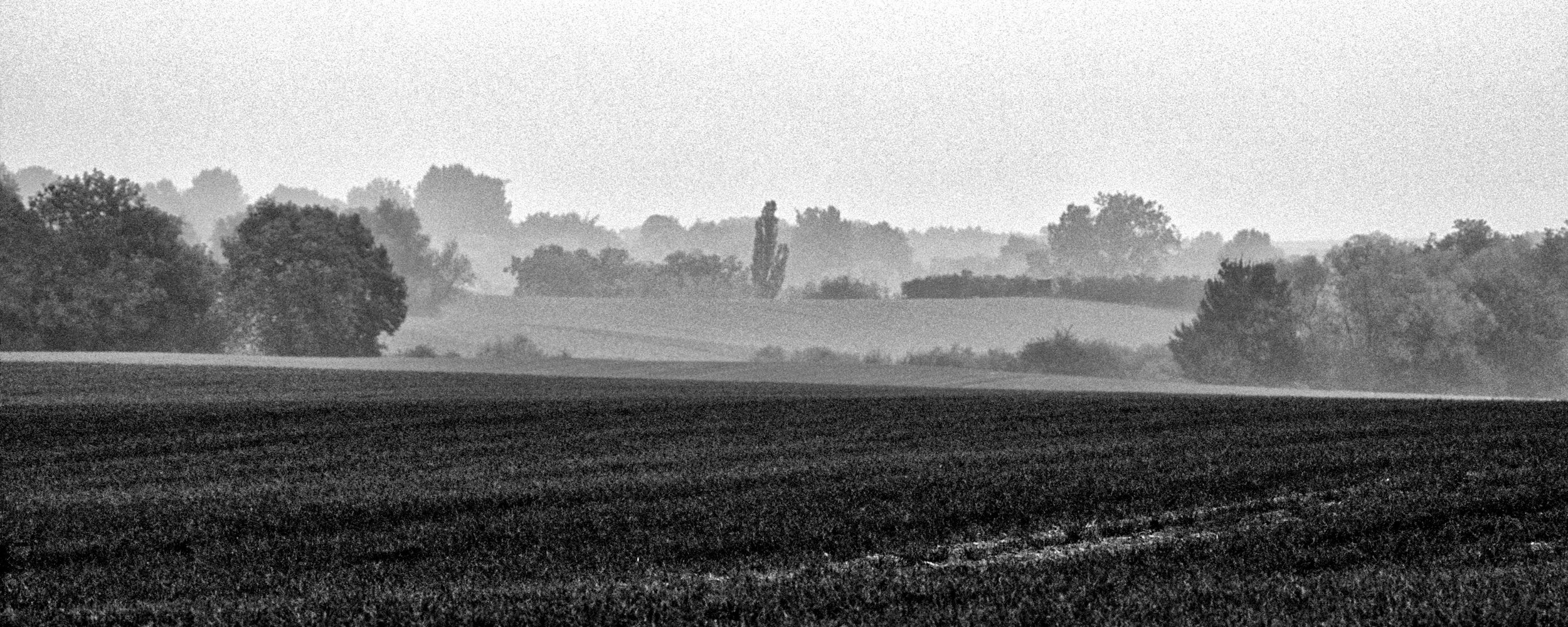 Nebellandschaft, Mecklenburg-Vorpommern. 2006 **