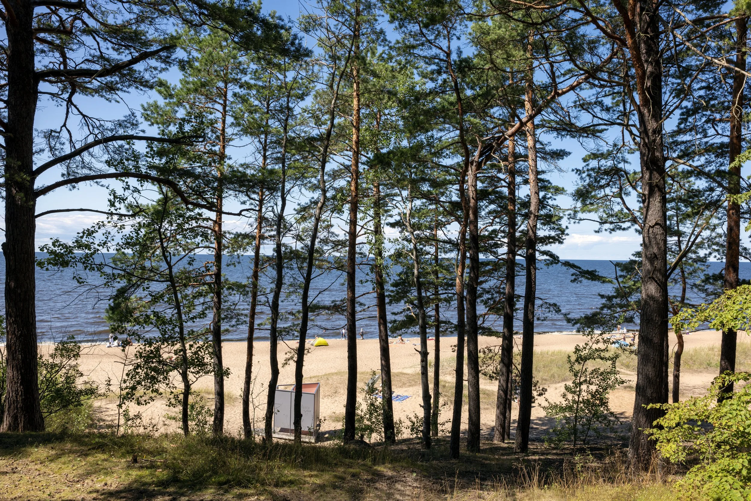 Ostsee/ Baltic Sea, Saulkrasti Latvia. 2026-08