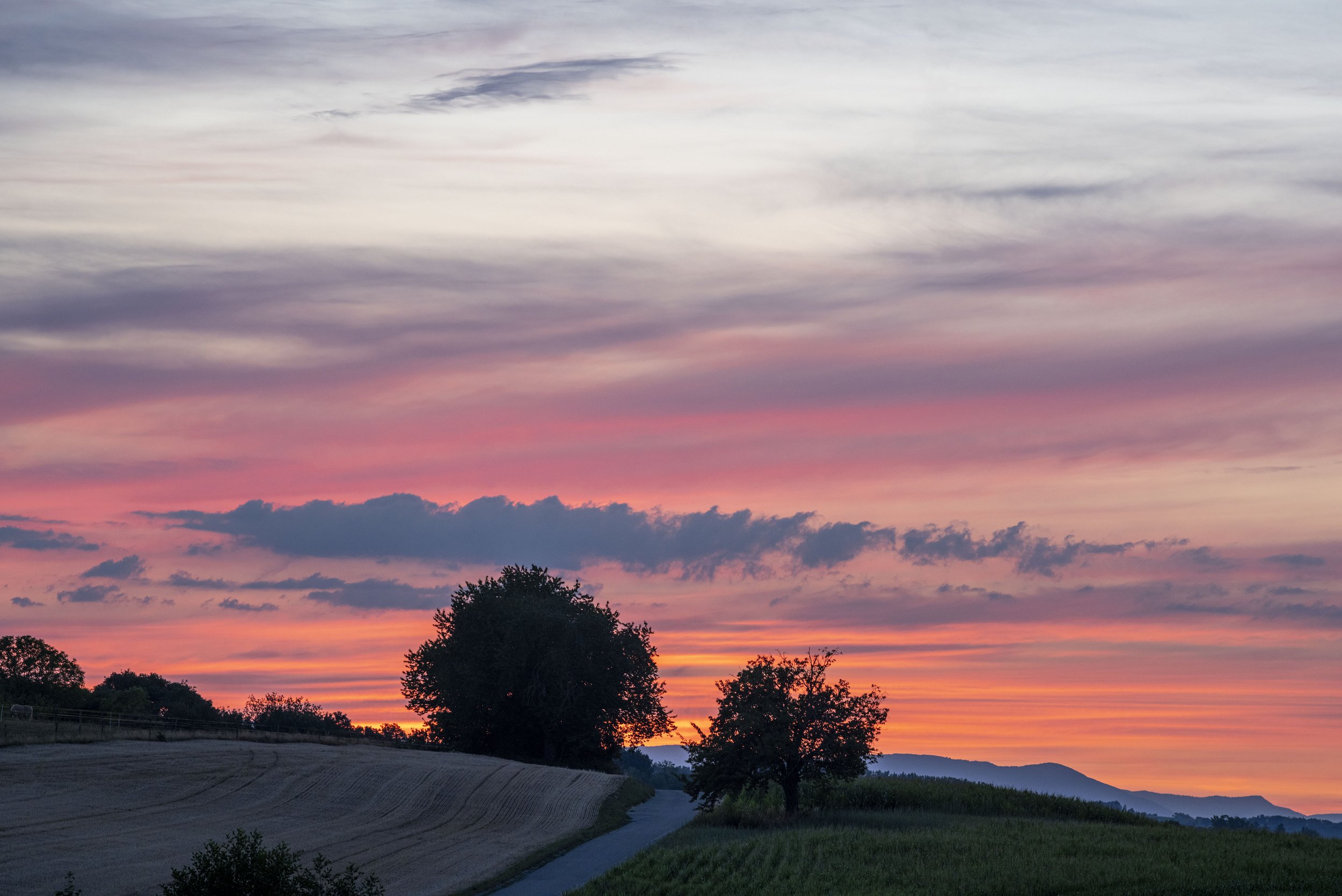 Wentzwiller, Alsace. 2026-07