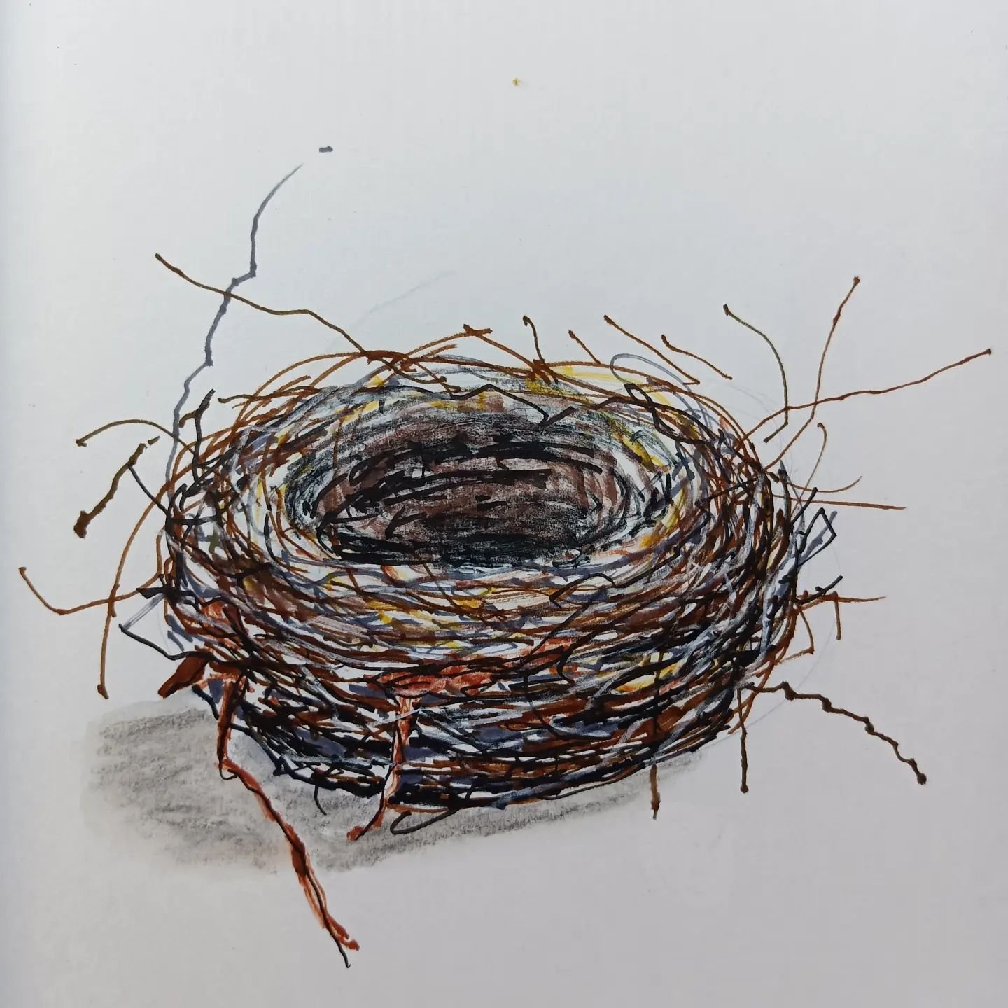 DAY 80 #the100dayproject . Empty nest. Marker pens.

#the100dayproject2024 
#dothe100dayproject 
#markerpen 
#emptynest 
#diananeggoartist