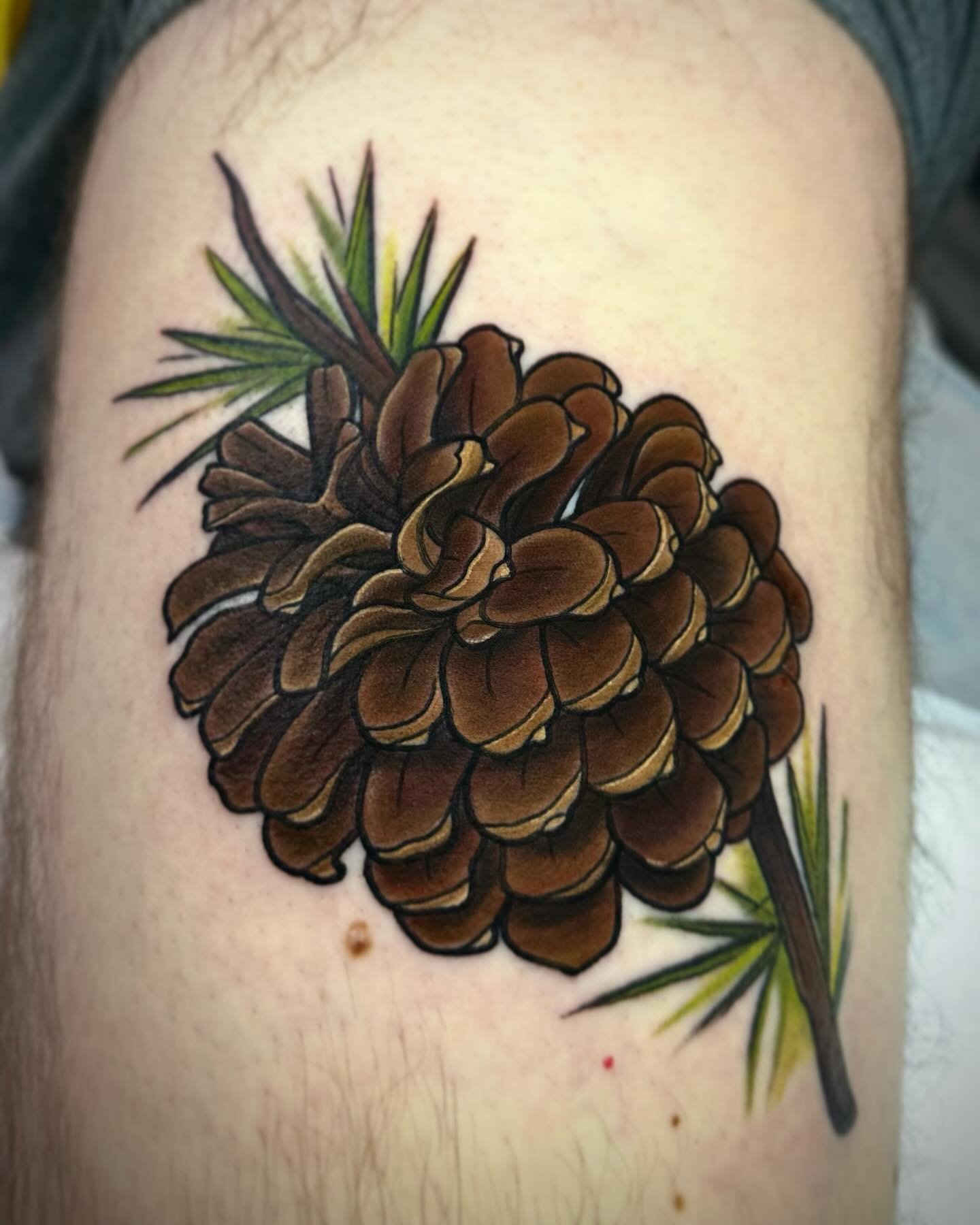 Just a little pre-drawn pinecone for Dan. 
.
.
.
.
.
.
#tattoos #oregontattoo #pineconetattoo #naturetattoo #eugeneoregon #pnw #pdx #portlandoregon #salemoregon #corvallisoregon