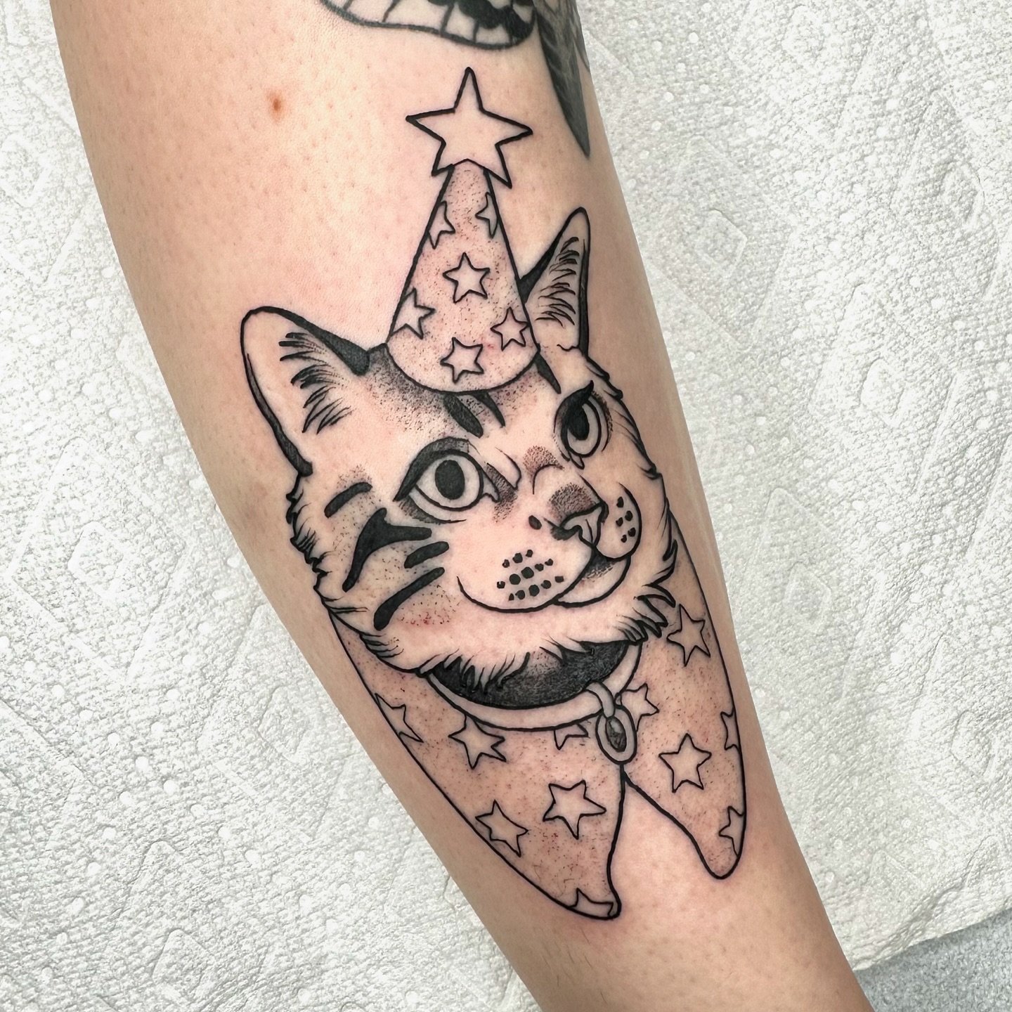 Wizard pet portrait for Morgen 🤍

#eugenetattoo #oregontattoo
