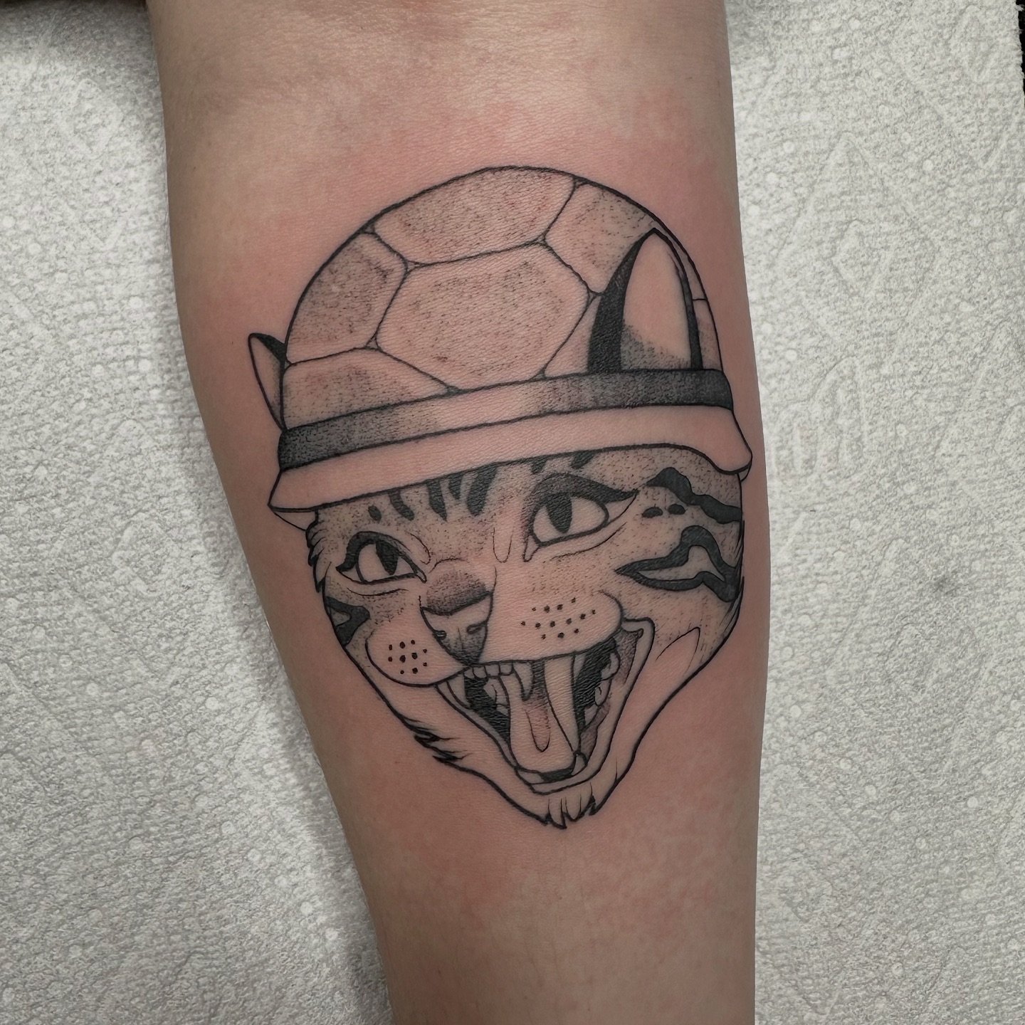 Turtle the cat in a turtle helmet

#eugenetattoo #oregontattoo