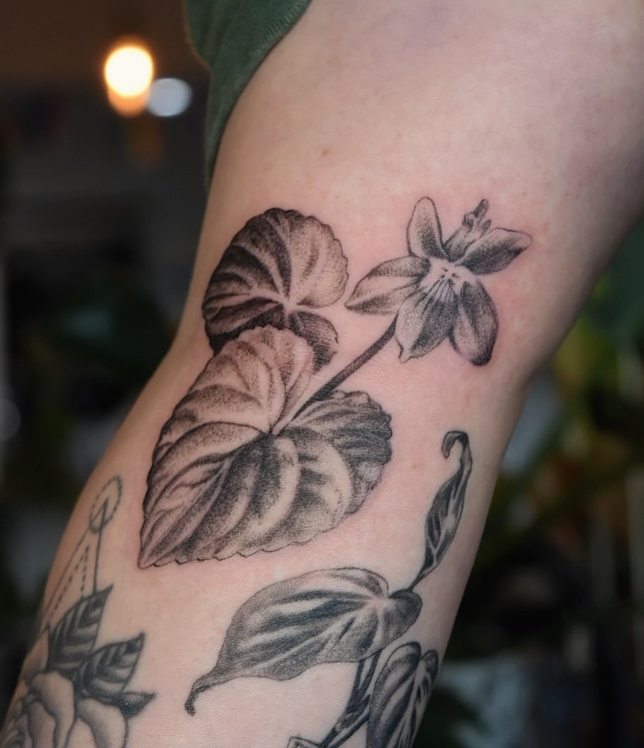 Sweet little viola from my flash✨ for Hailey 💜 next to a pothos also done by me, over 3 months healed :)

#botanicalillustration #illustrativetattoo #blackandgreytattoo #botanicaltattoo