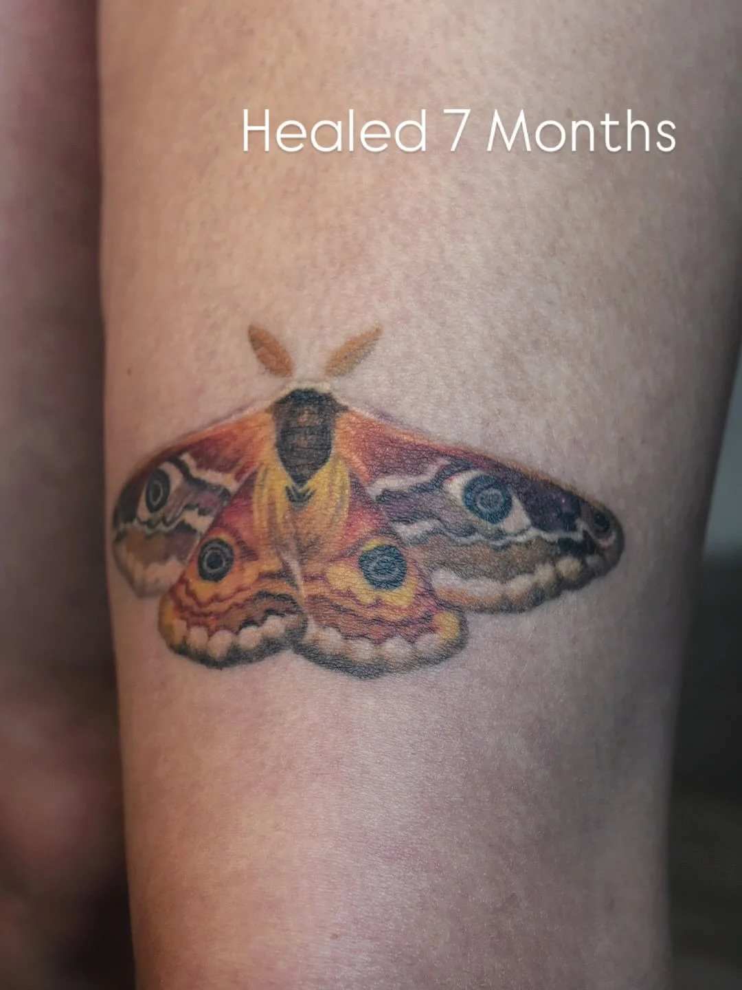 Healed and settled ✨ swipe for the fresh tat back in December ~ Thanks for coming back in and taking such good care of this lil guy, Iyesha! 🫶🏻

#healedtattoo #tattooheal #healingtattoo #colortattoo #mothtattoo #tattooartist #eugenetattoo #oregonta
