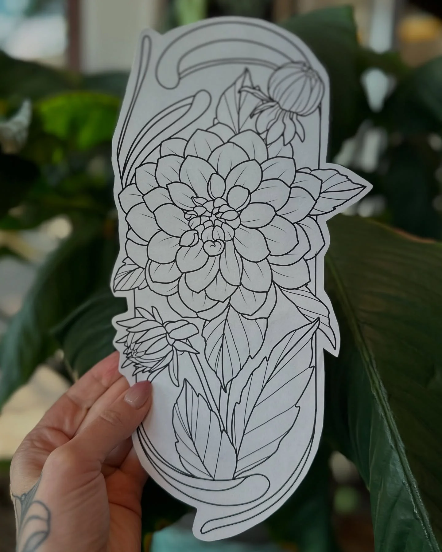 *Available* 

Dahlias with ornamental frame. Placement option photos show the longer vertical planes of the lower legs, but it could work on a thigh with more organic elements added to the bottom for smoother transitions to other tattoos in the futur