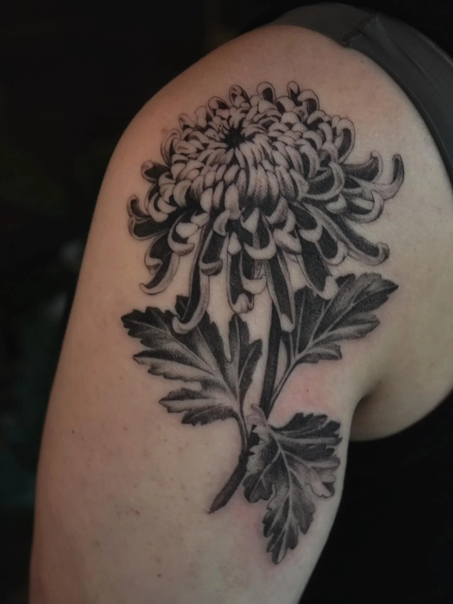 Mum 💗 for Ashley 

Such a sweet flower ✨ 

#chrysanthemum #flowertattoo #floraltattoo #finelinetattoo #realistictatto #botanicaltattoo